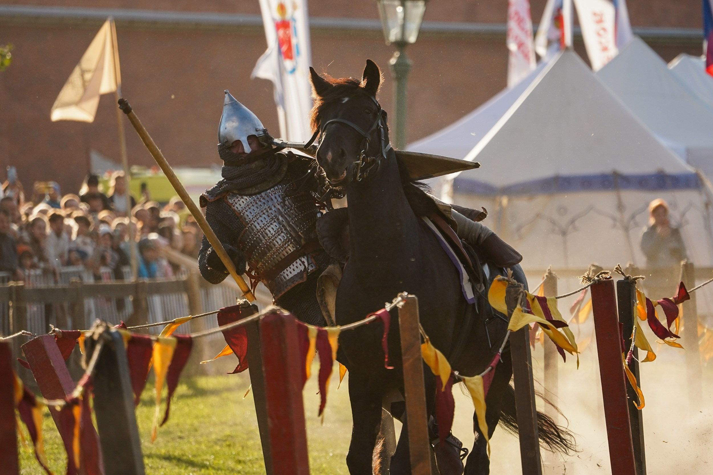 Рыцарский турнир в рамках фестиваля «Битва на Неве» Санкт-Петербург 2024 г. Фотограф-анималист, портретный фотограф в Чебоксарах Мария Садыкова