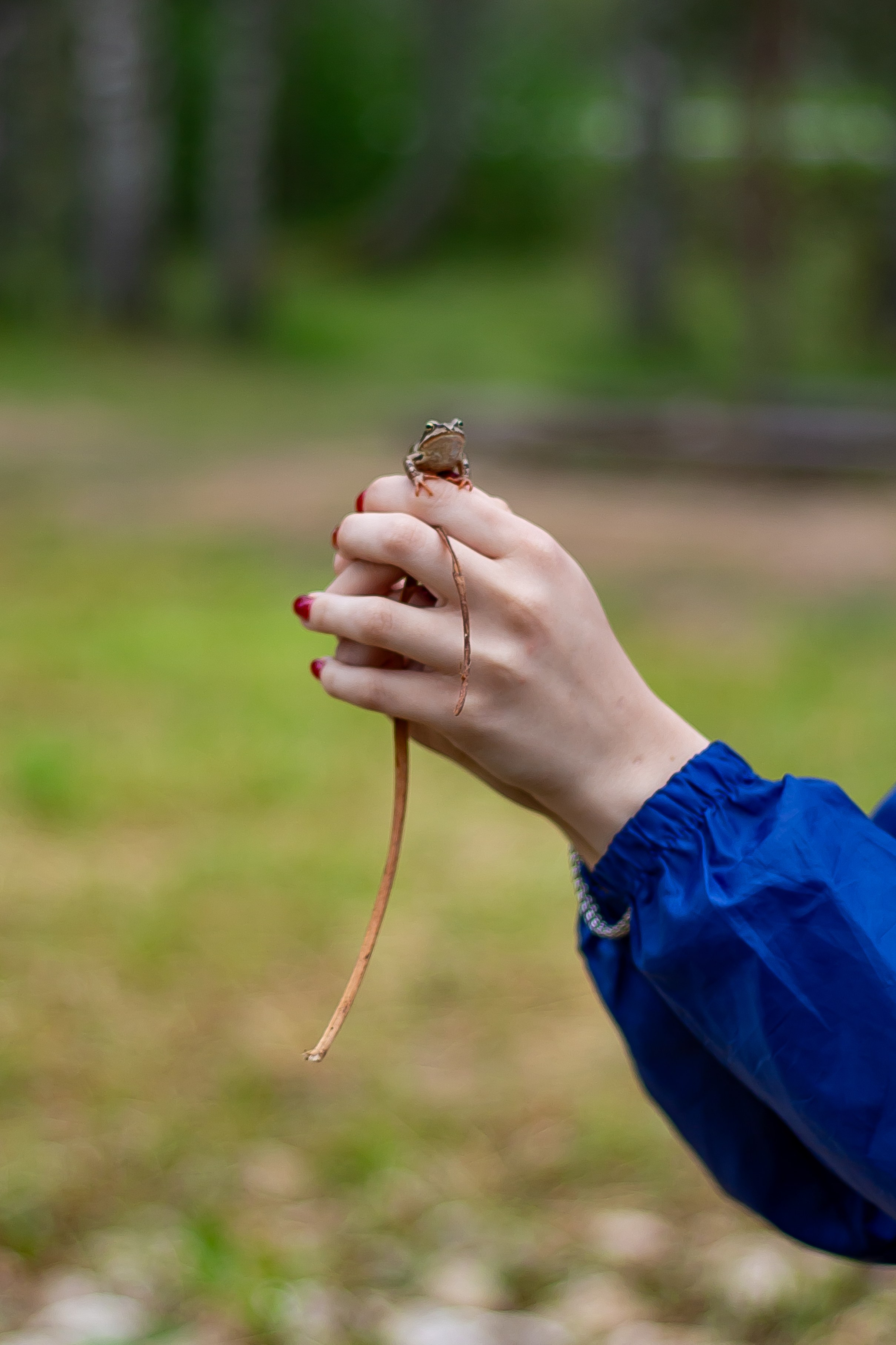 1-я смена во Ржеве 2025. Фотограф • Орехово-Зуево • Балашиха • TEFO