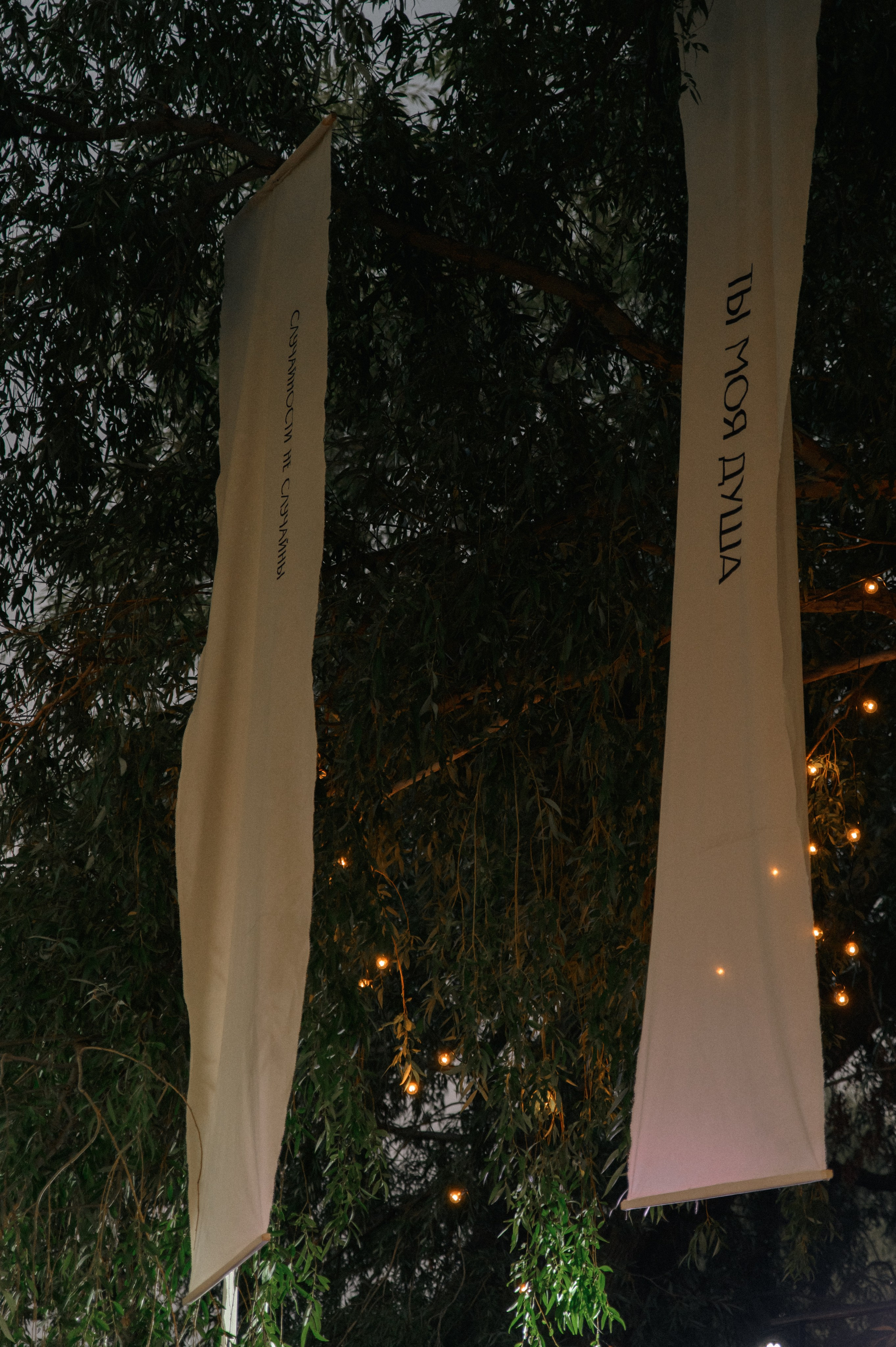 Максим и Лена. Свадебный фотограф Евгения Наумовец