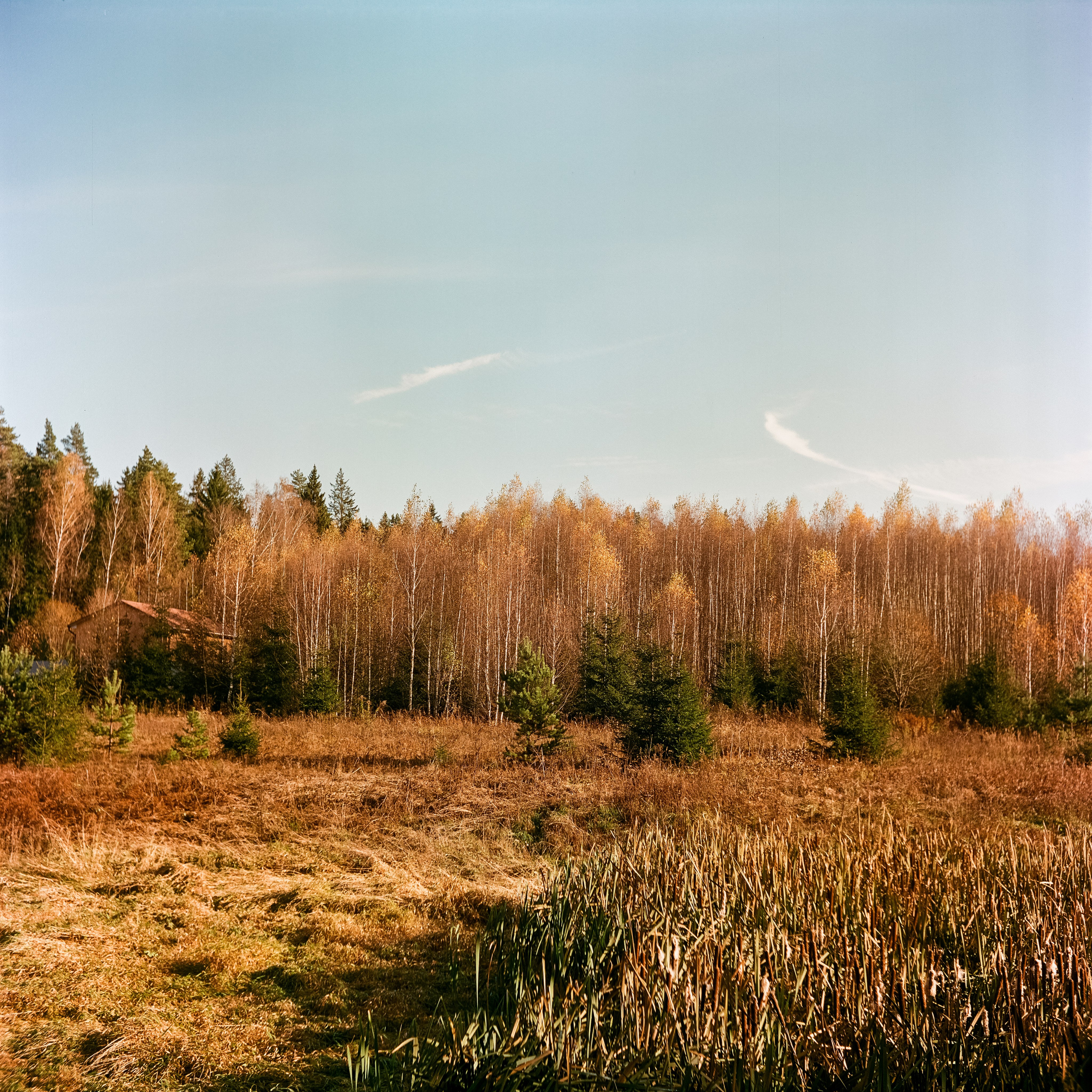 Белоконь Алексей. Фотография на пленку. Семья и путешествия