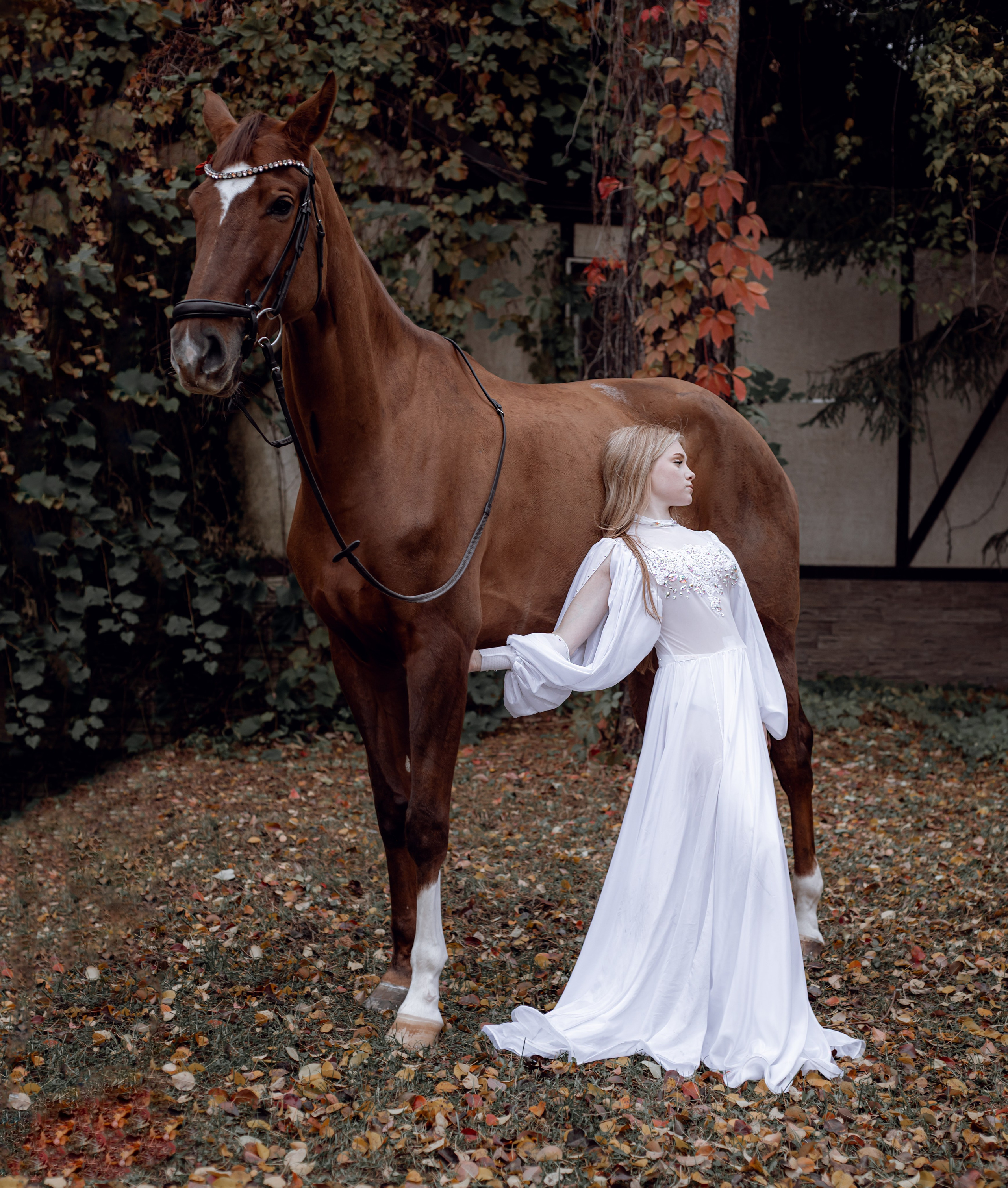 Диана конный клуб «Белая дача». Портретный и семейный фотограф в Москве Ирина Голубчина
