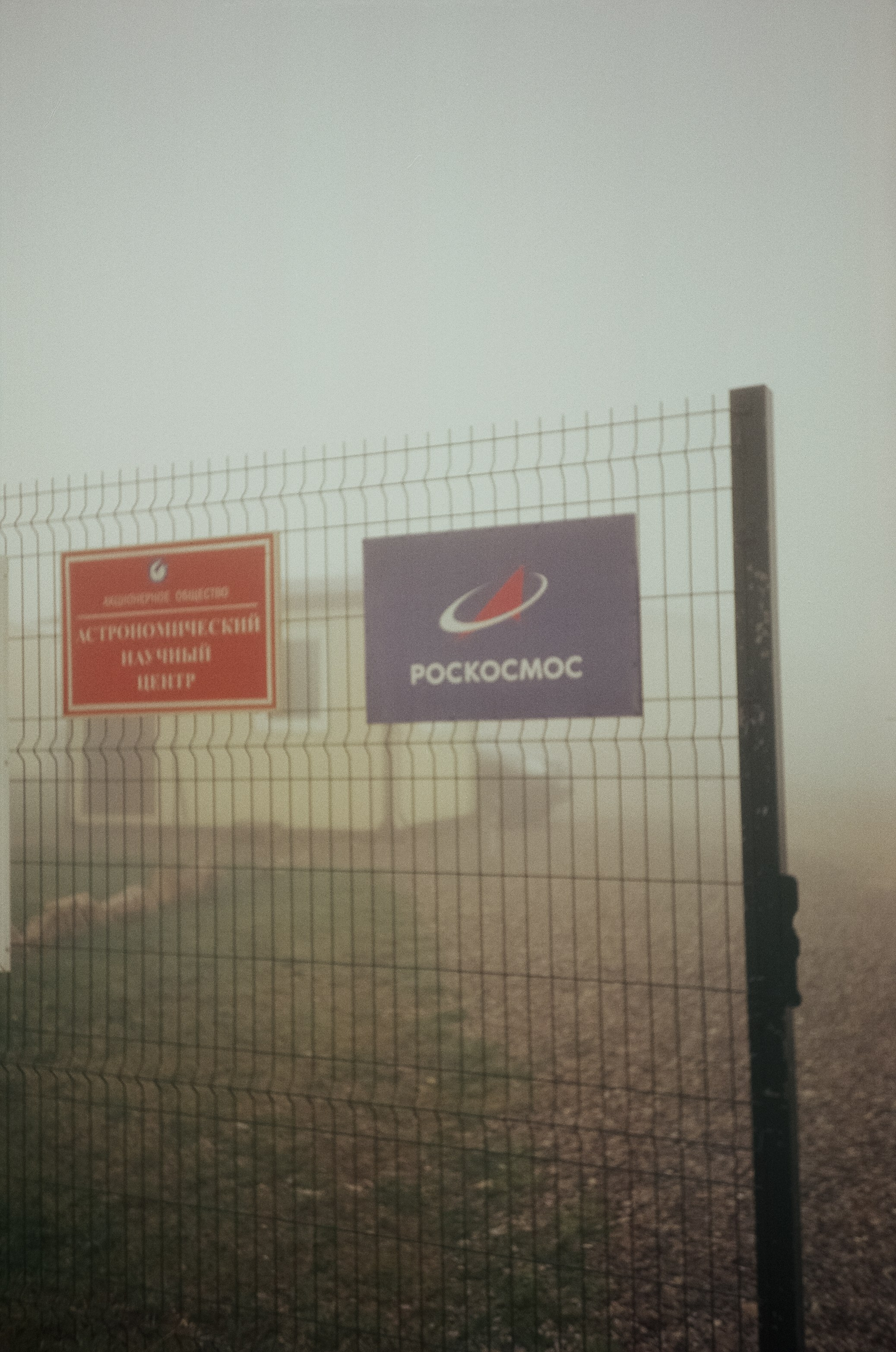 Дорога к Джилы-Су и лошадки в тумане. Фотограф-документалист Мария Осокина