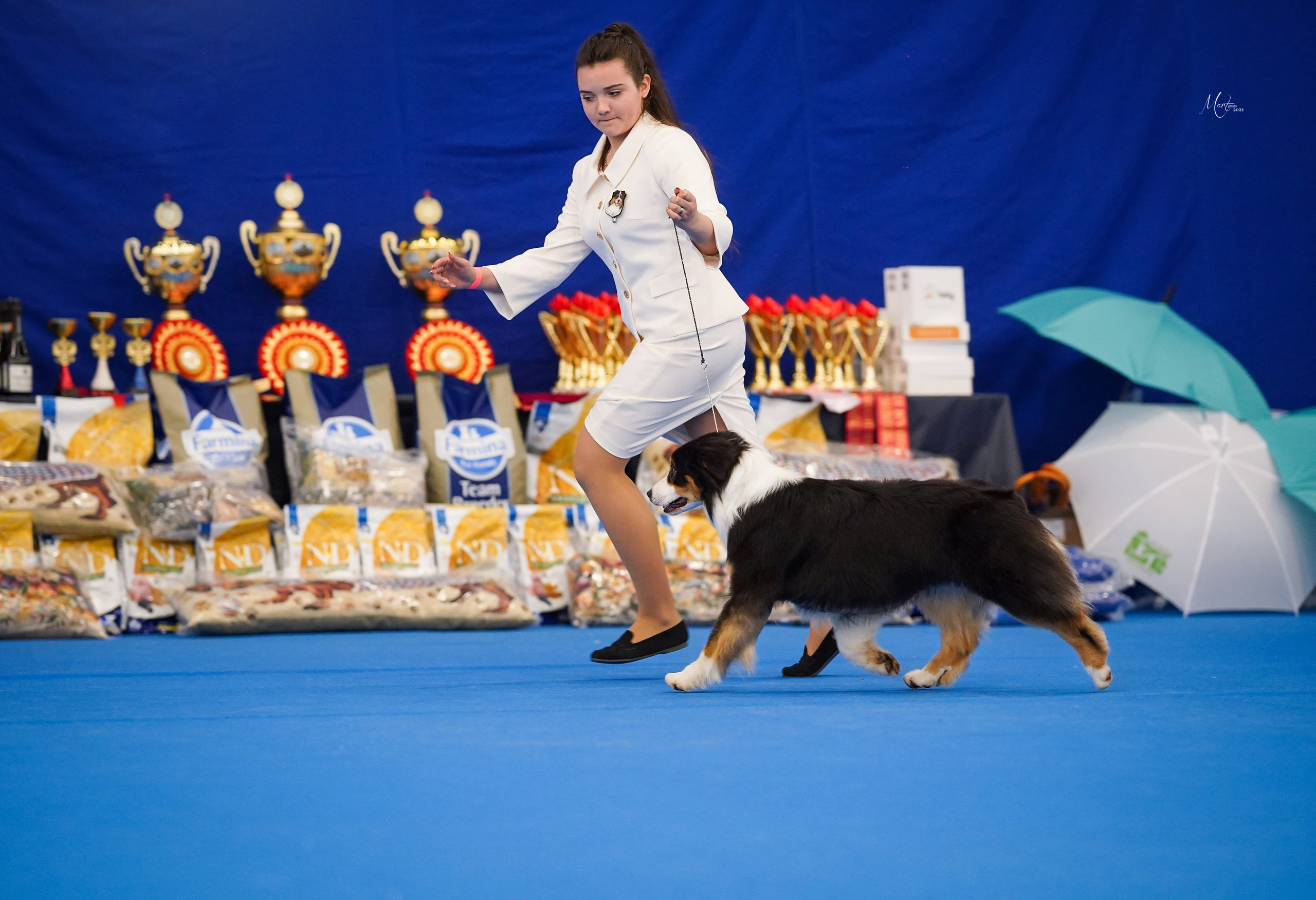 Выставки 2025. Фотограф-анималист в Санкт-Петербурге Яна Мартынова