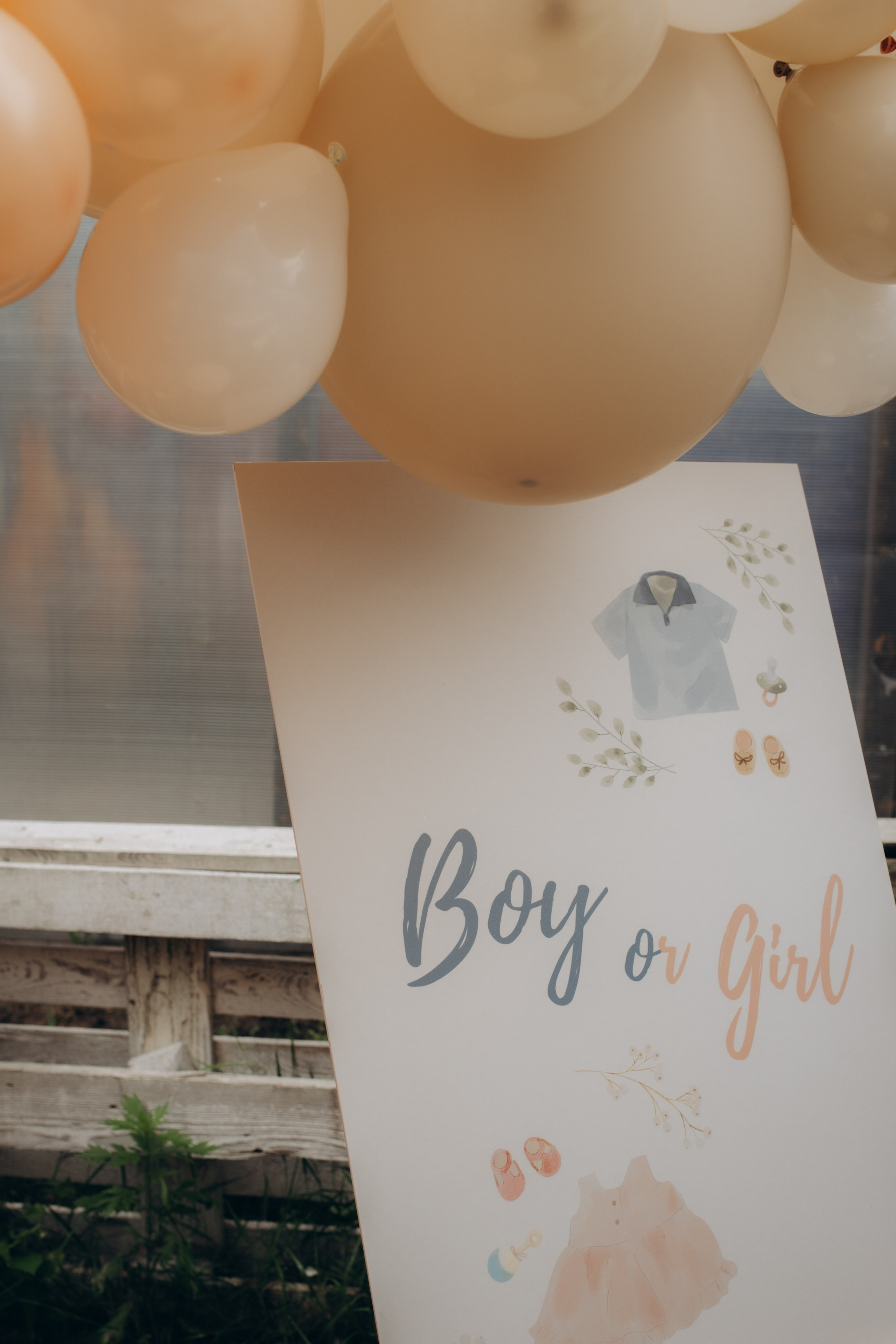 Гендер пати. Семейный и домашний фотограф в Москве и МО Королева Валерия