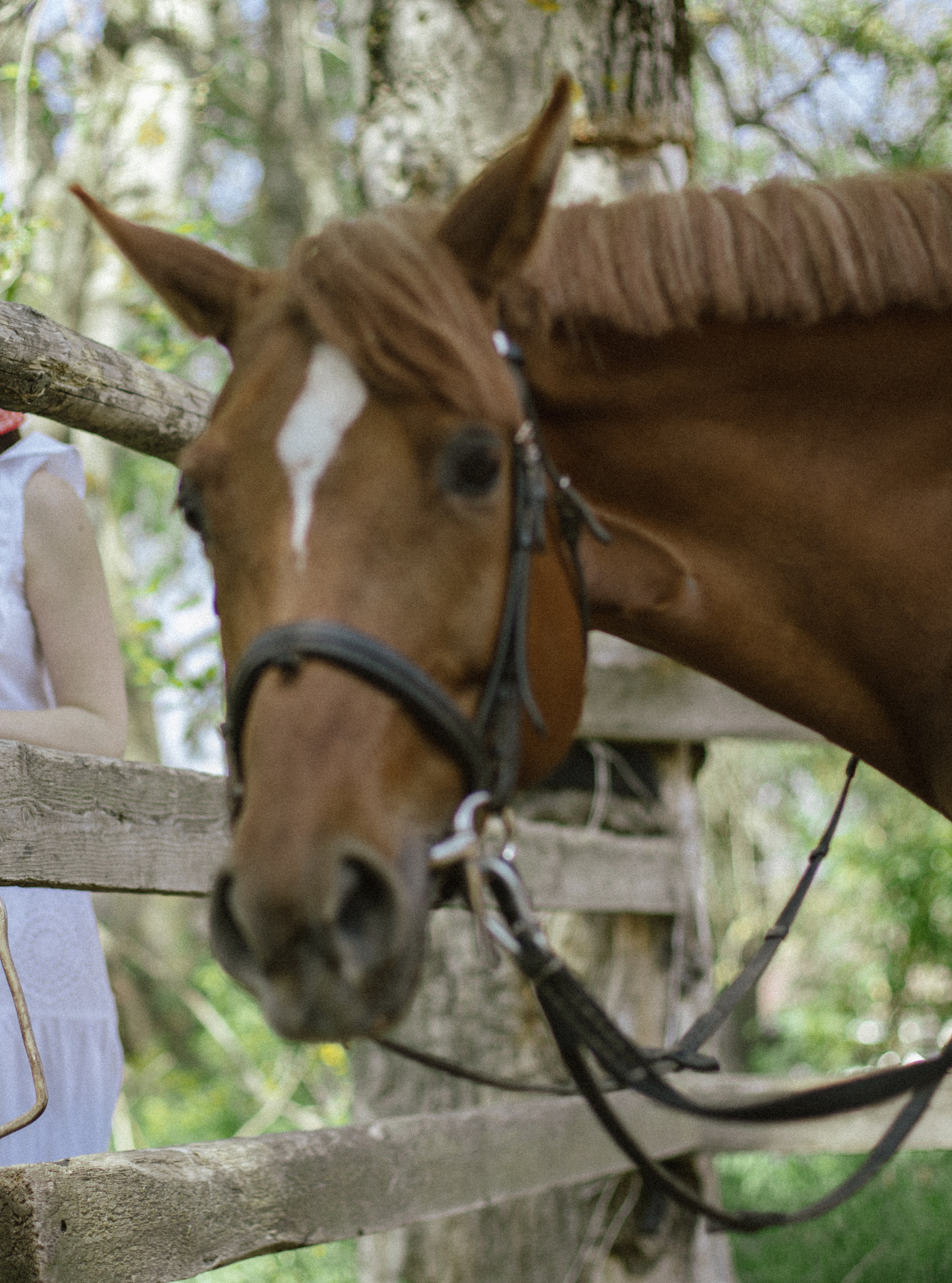 Таня и Фаня. Фотограф Евгения Счастливая, Нижний Новгород, Москва