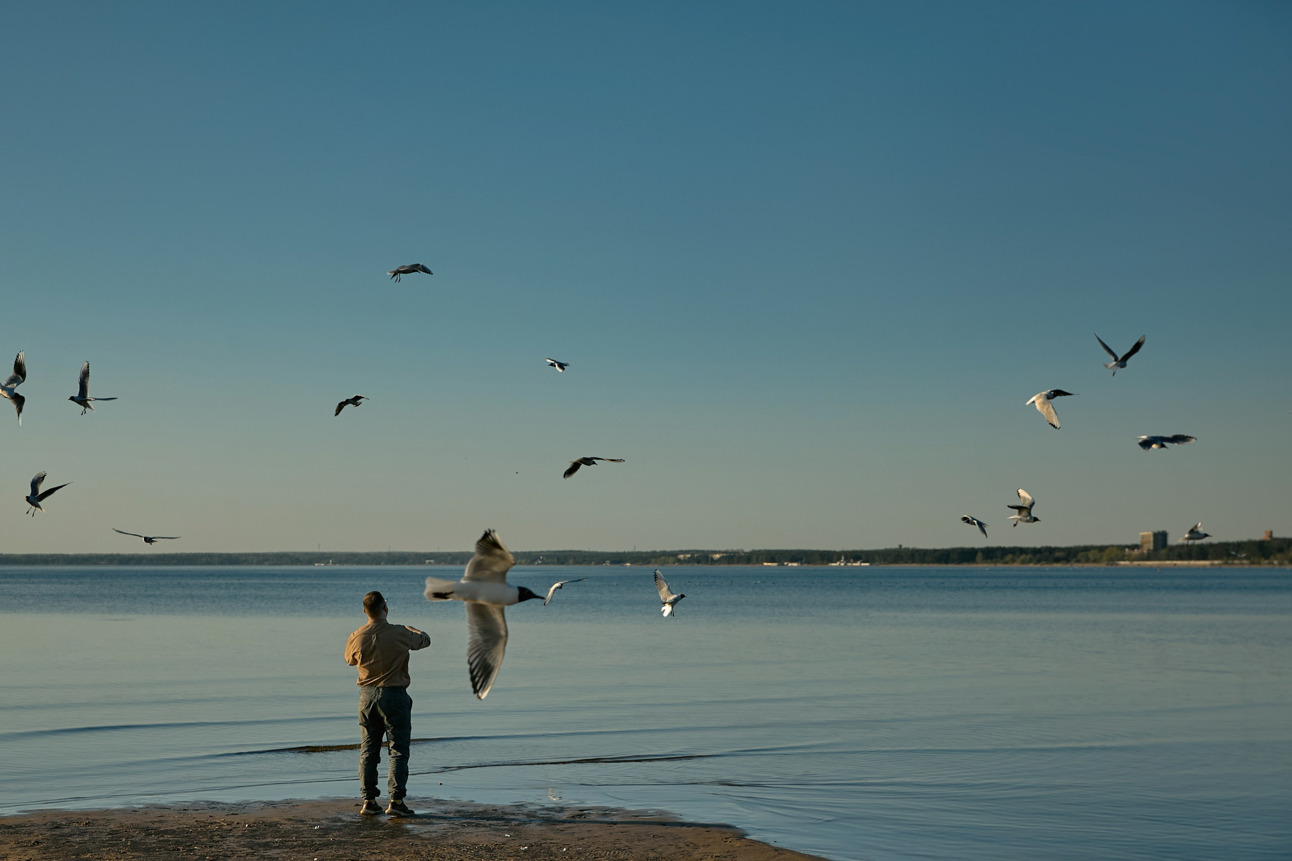Eric and Tatiana. Рекламный фотограф Санкт-Петербург Катерина Мишкель