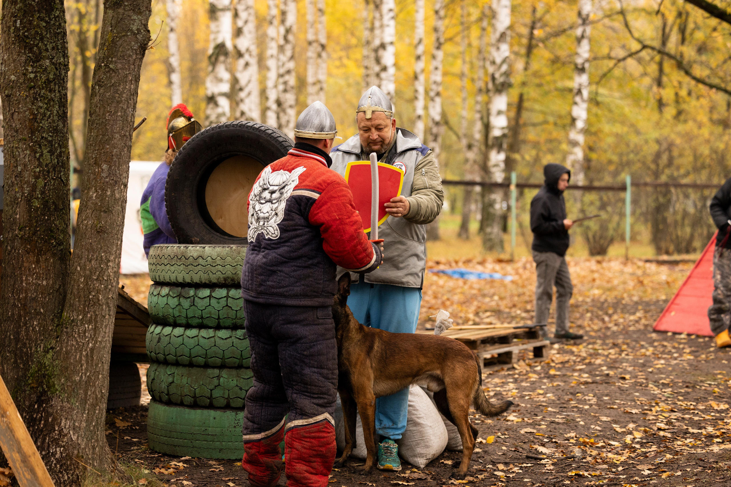 Соревнования по Мондьорингу г. Вологда. Фотограф-анималист Анна Маринич