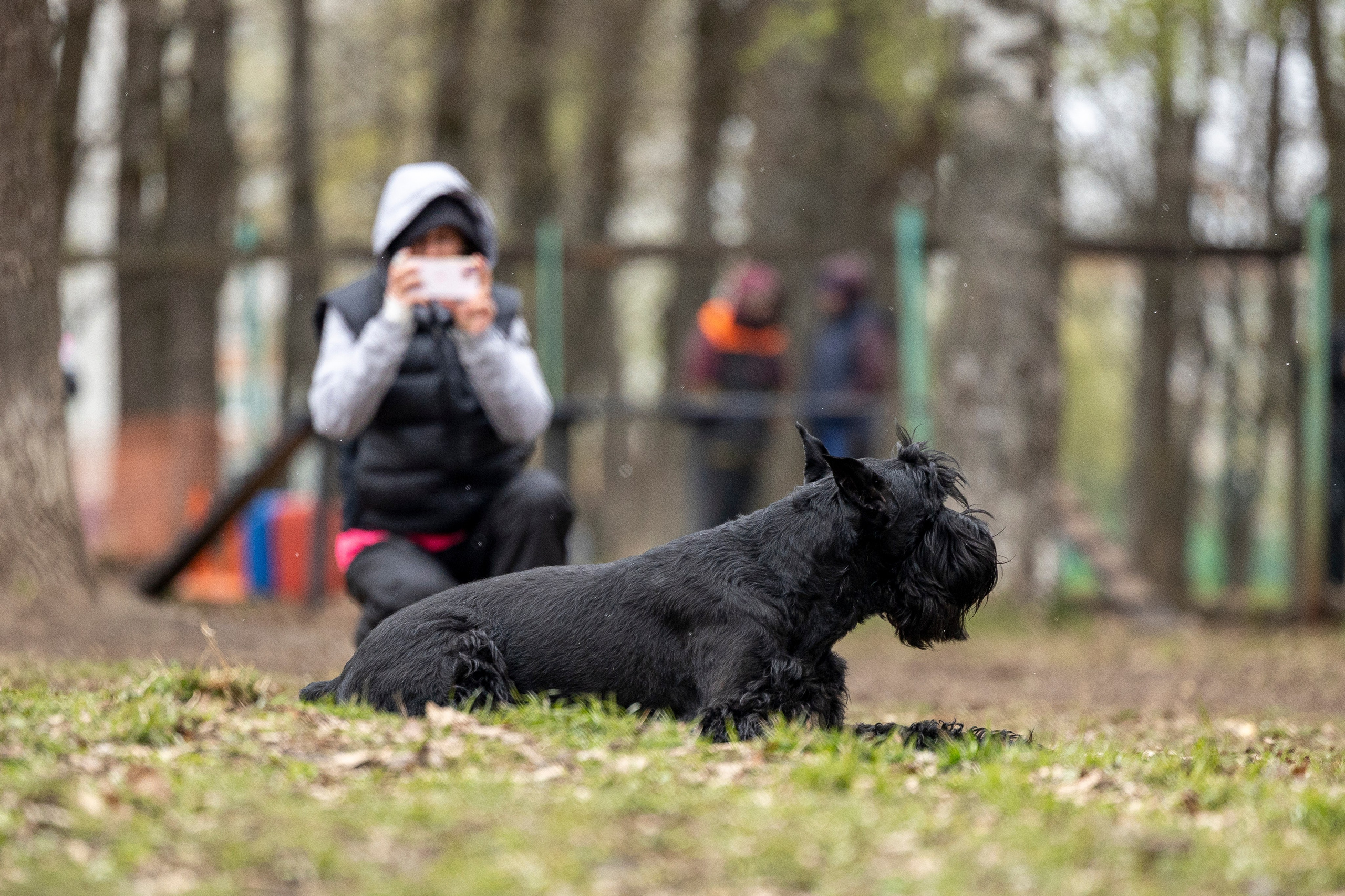 Квалификационные состязания по мондьорингу г. Вологда 11.05.24. Фотограф-анималист Анна Маринич