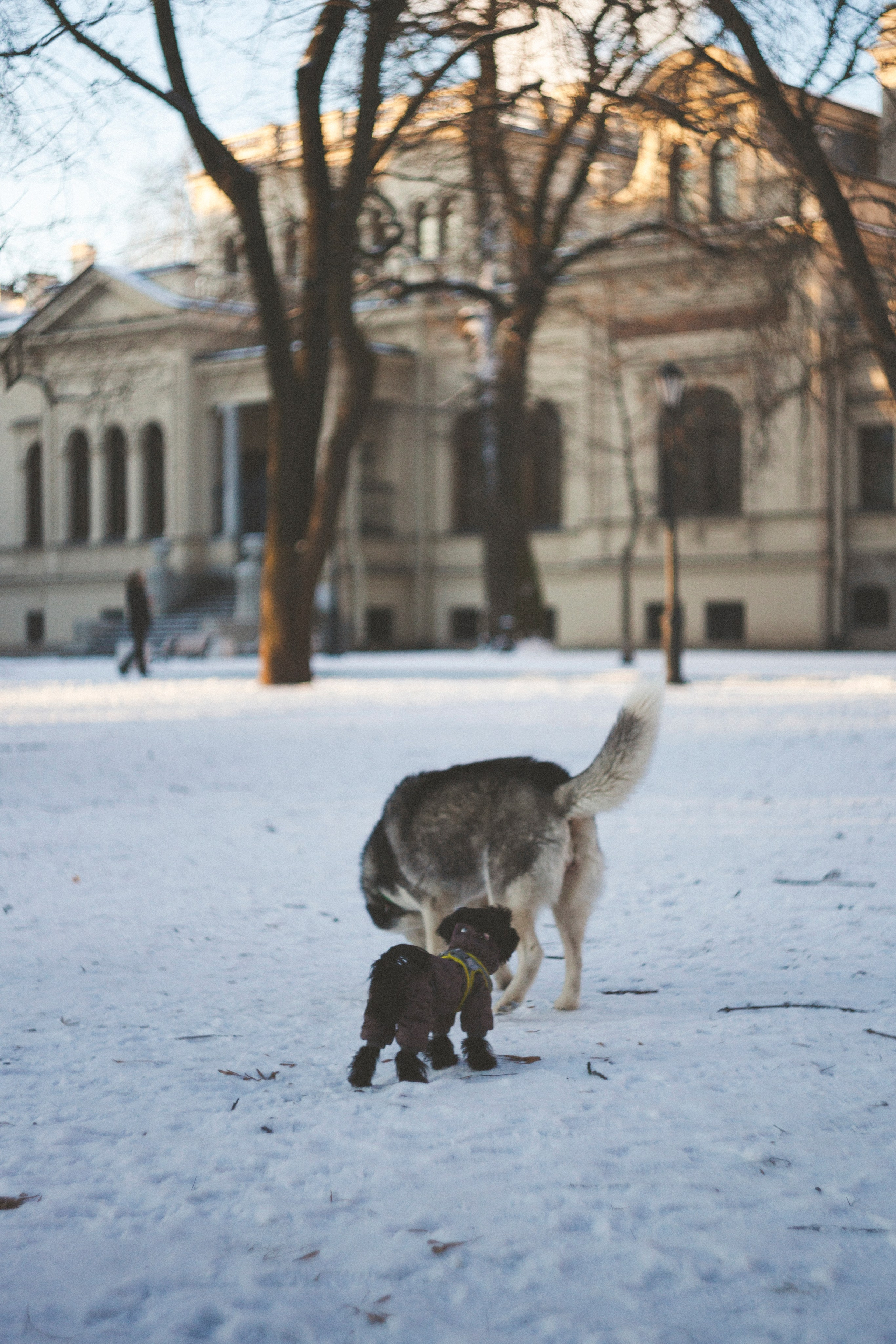 В Алексеевском саду. Фотограф Адигамова Юлия в Петербурге