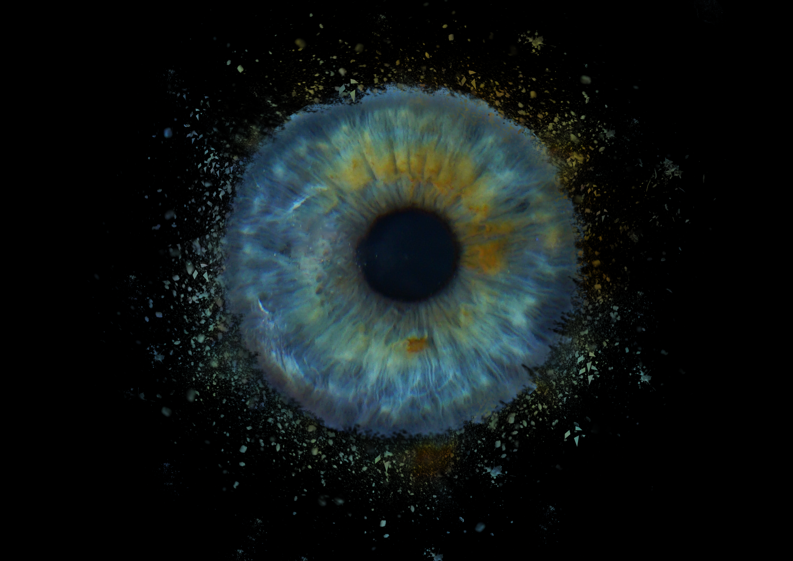 Анжела 11021930. ShowLab