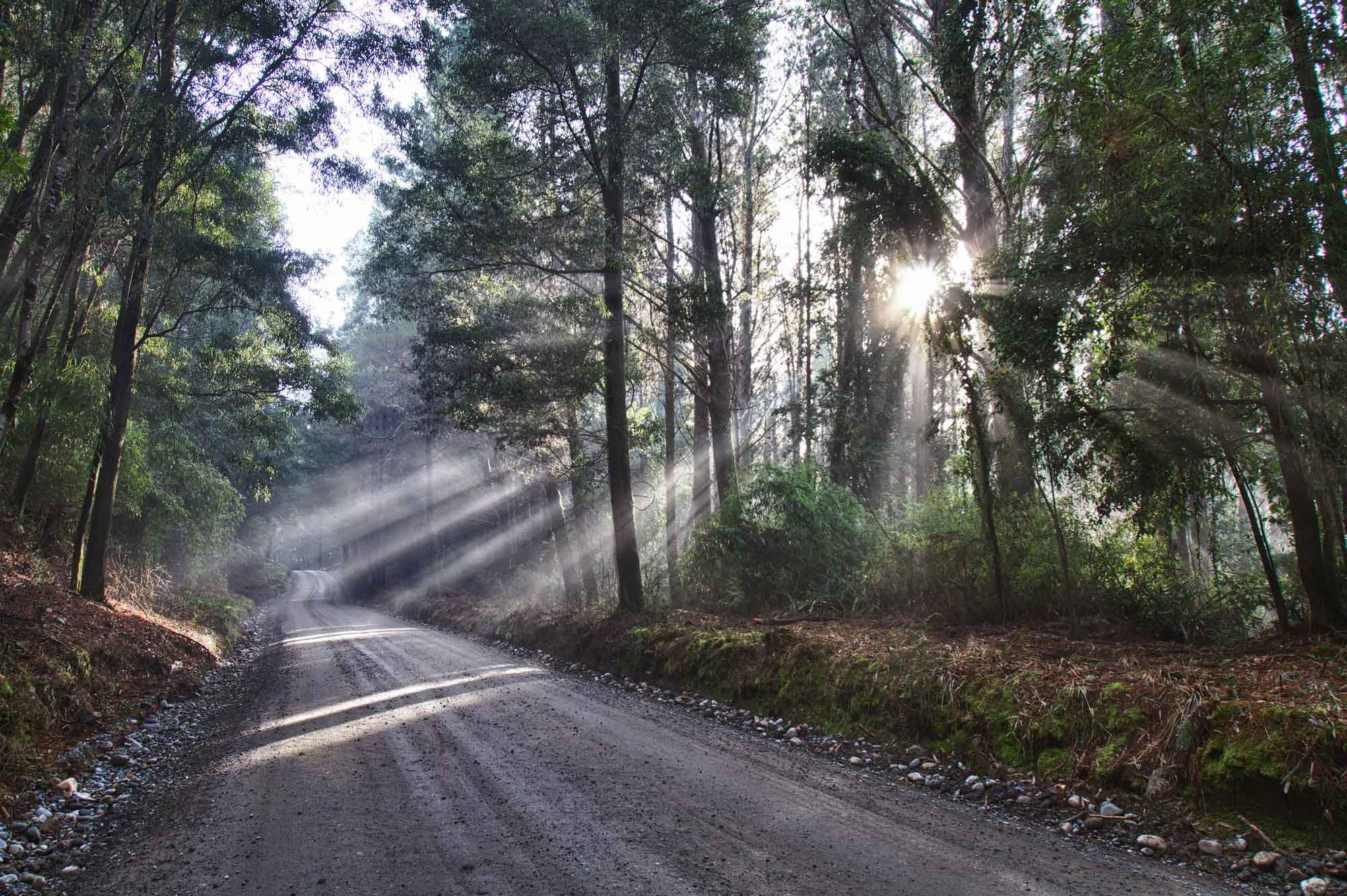 LANDSCAPE. Portrait and business photographer in Moscow Andrey Nikolsky