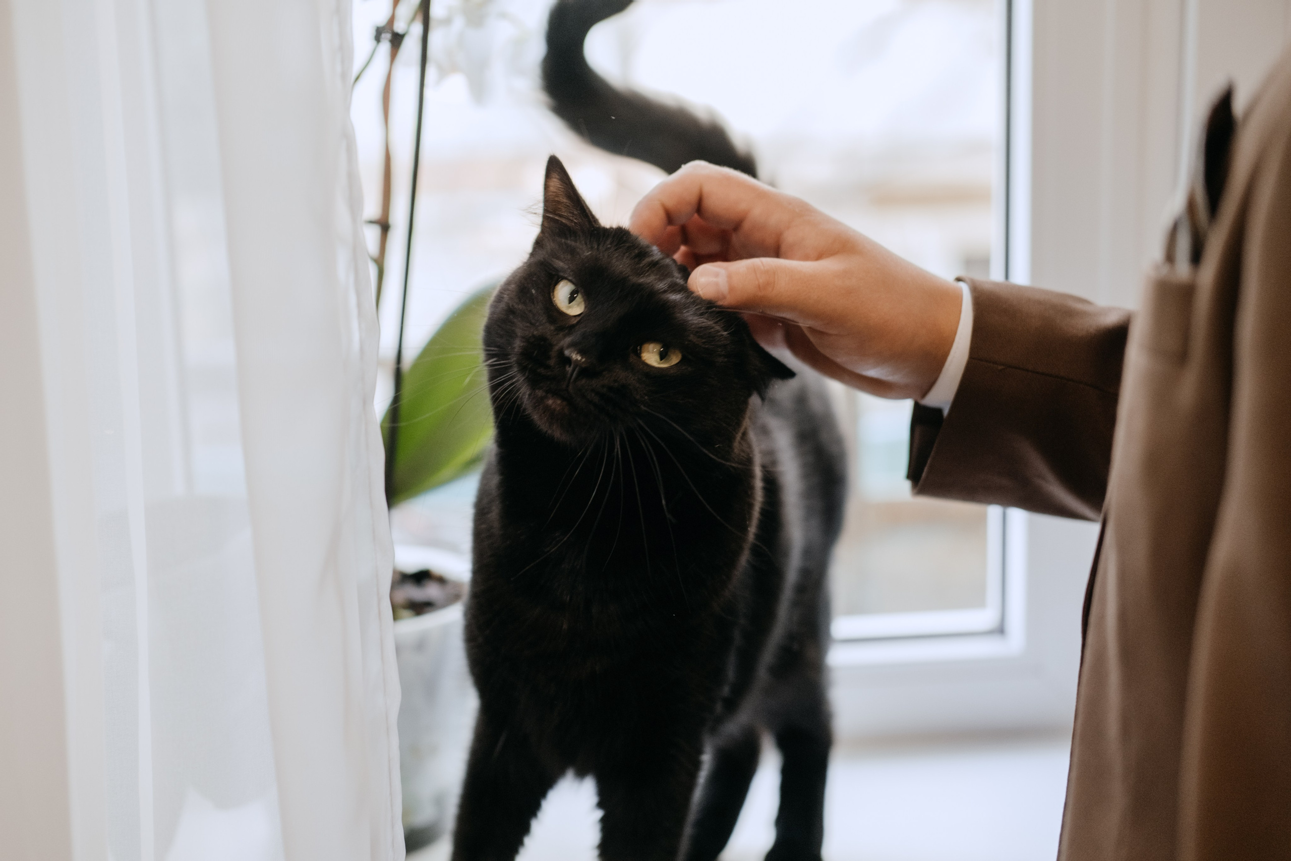 Руслан и Екатерина. Фотограф в Астрахани Миронова Анастасия