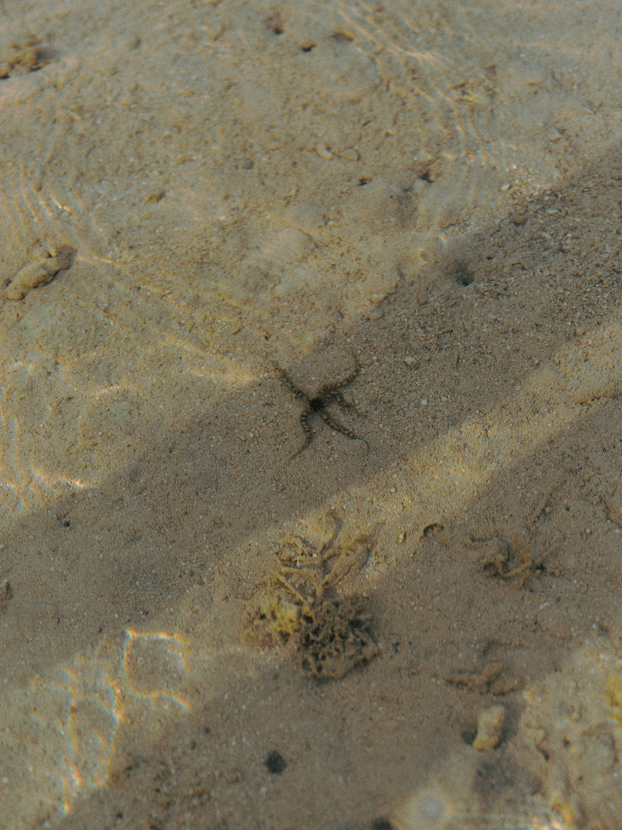 Природа. Jorgis Talè — photographer, kind person, teacher of arts and other mag