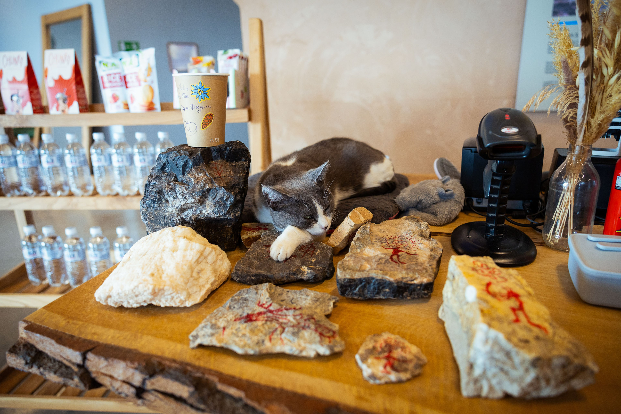 Казахстан (осень 2024). Фотограф Виноградов Константин