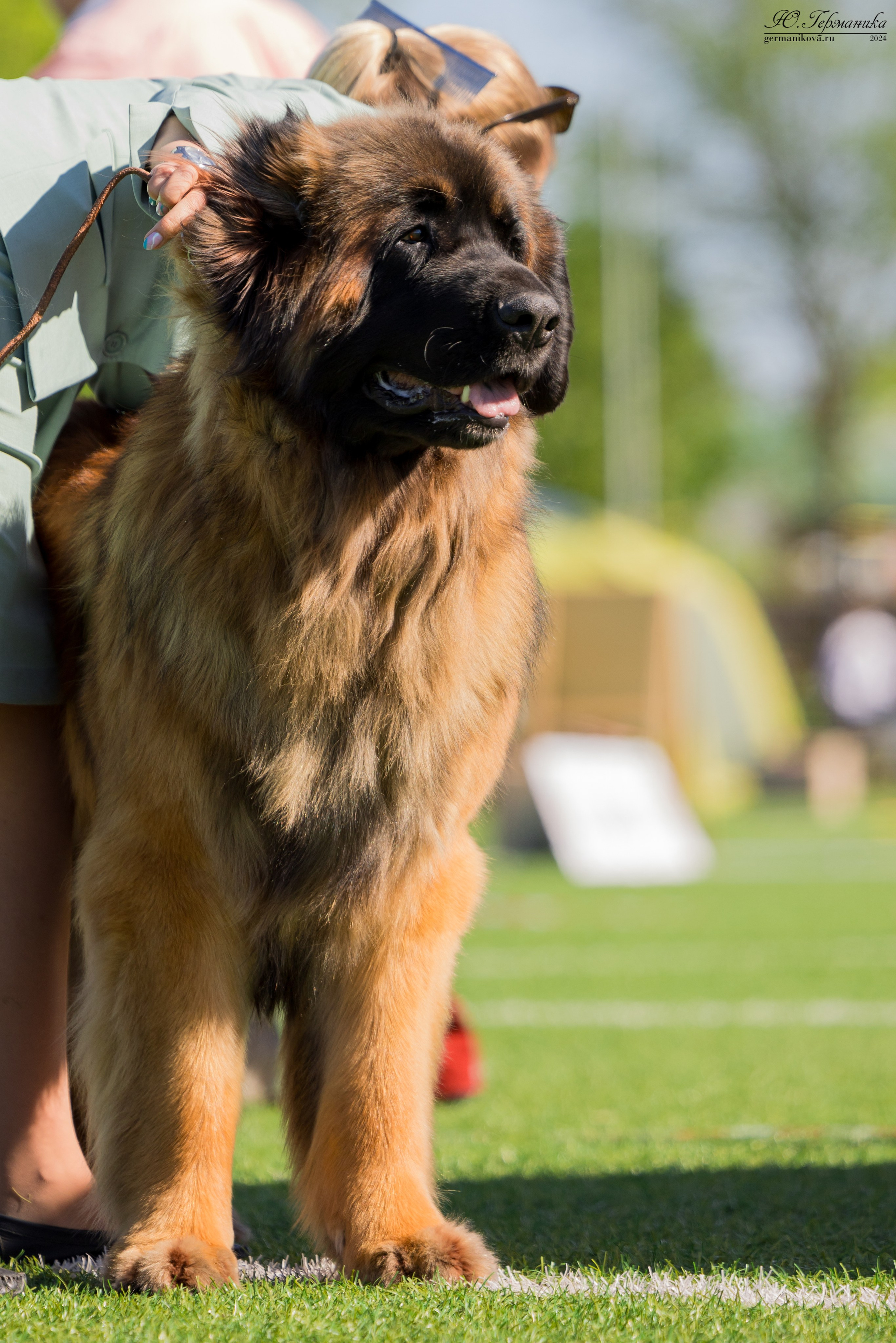 Суздаль 18-19.05.2024. Фотограф-анималист Юлия Германика