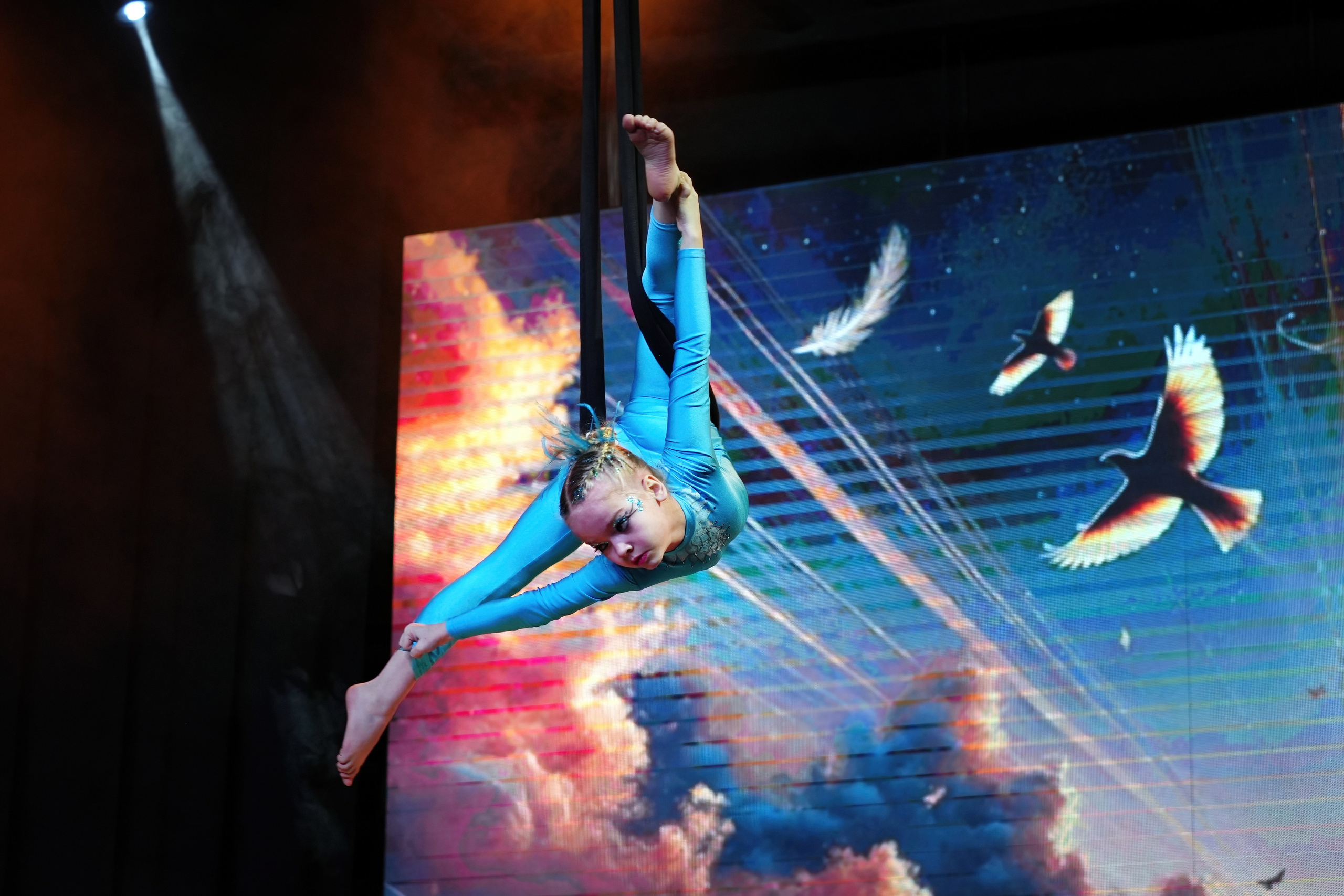 Fenix Fest Фестиваль по воздушной гимнастике. Вадим Шейдин