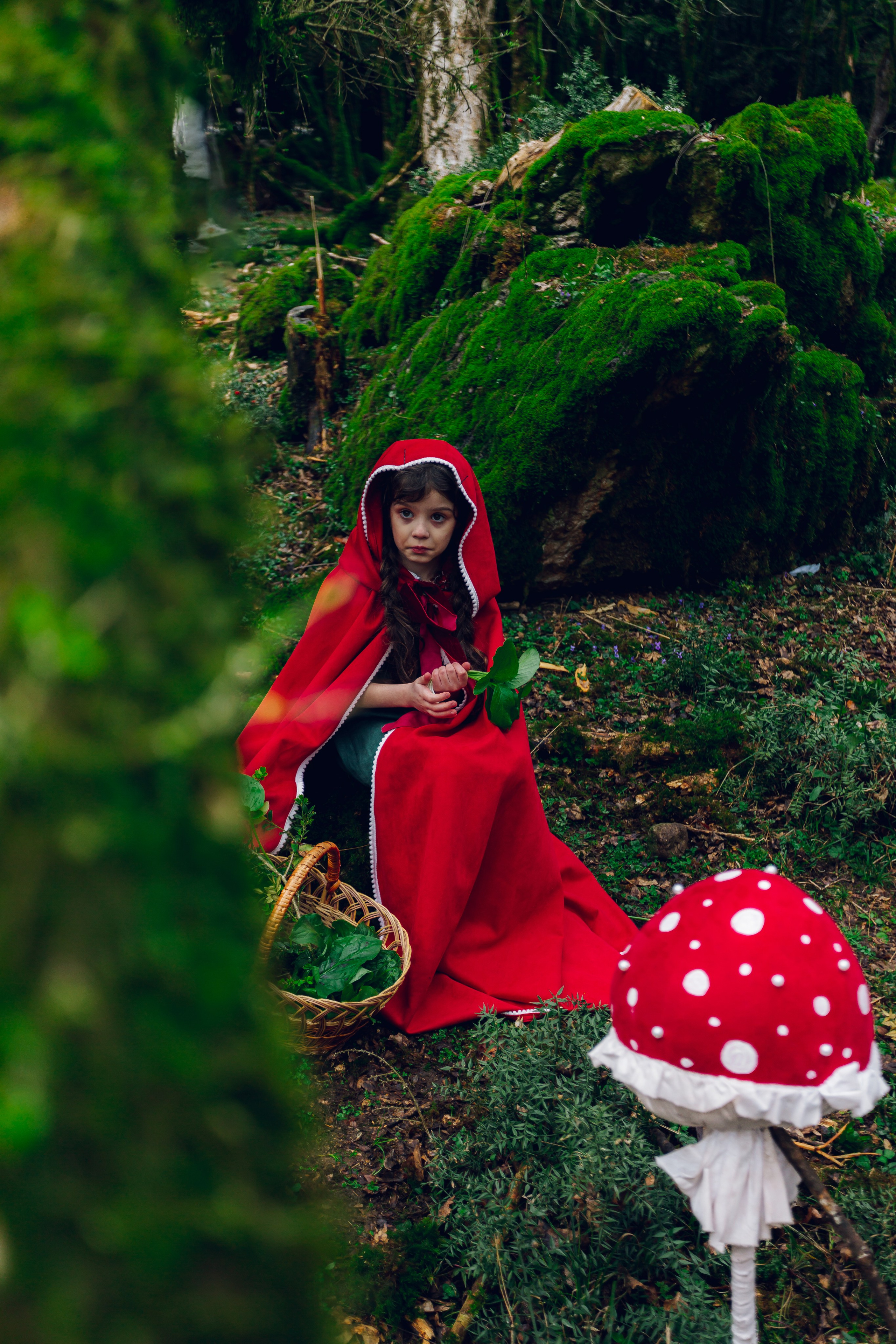 Самшитовая роща. Семейный и художественный фотограф в Тюмени Юлия Логинова