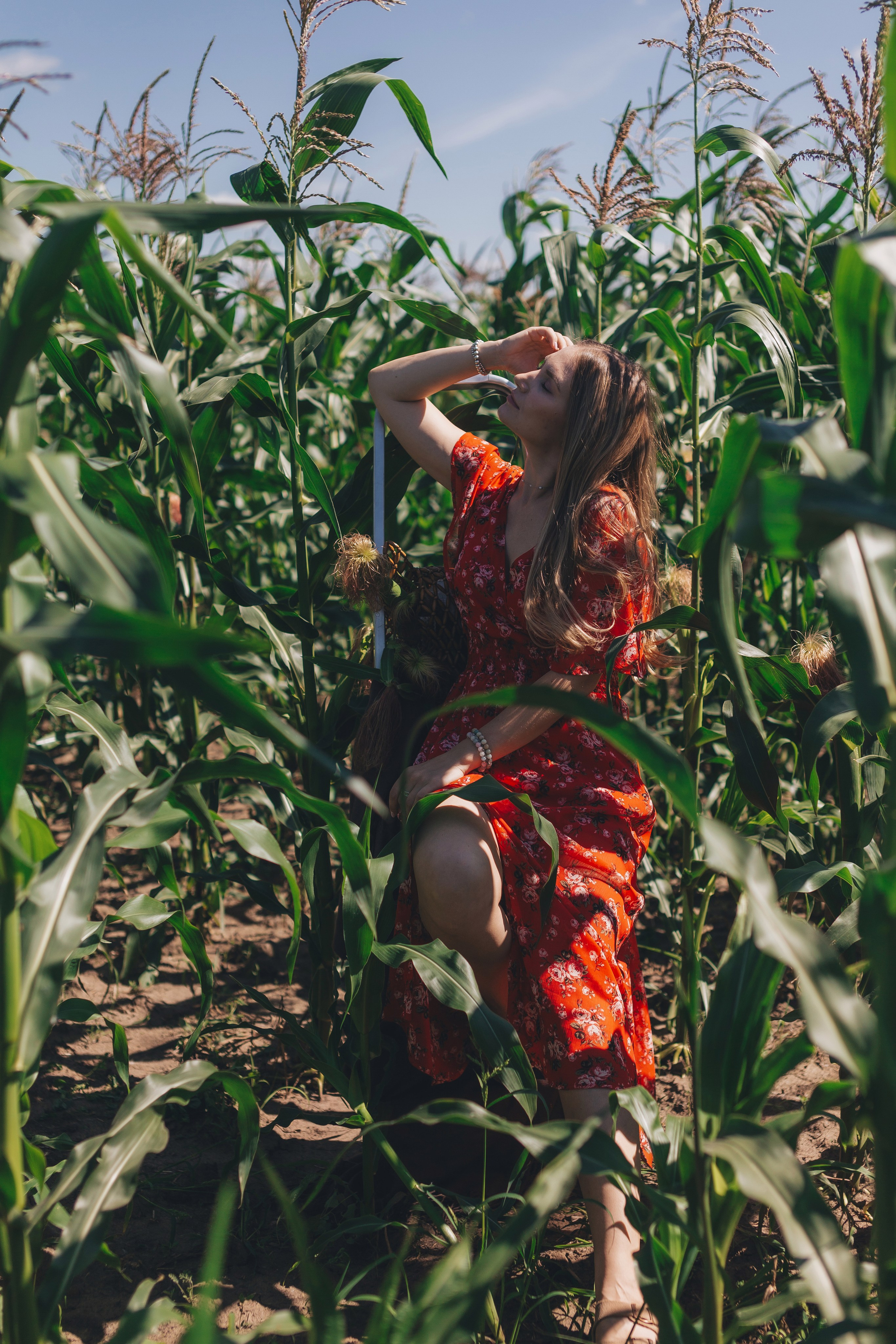 Кукуруза. Семейный и художественный фотограф в Тюмени Юлия Логинова