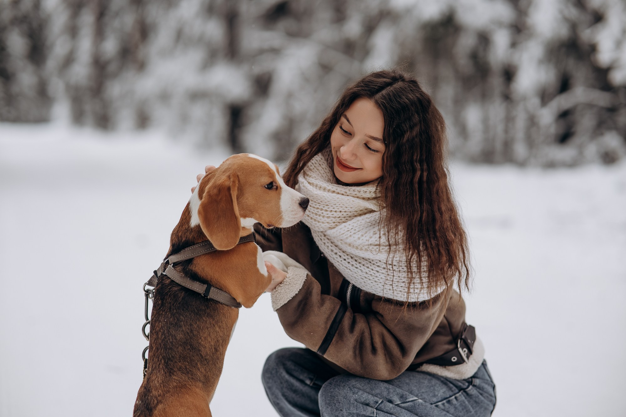 Зимняя фотосессия для девушки с собакой. Свадебный и репортажный фотограф в Ярославле Евгений Сальников