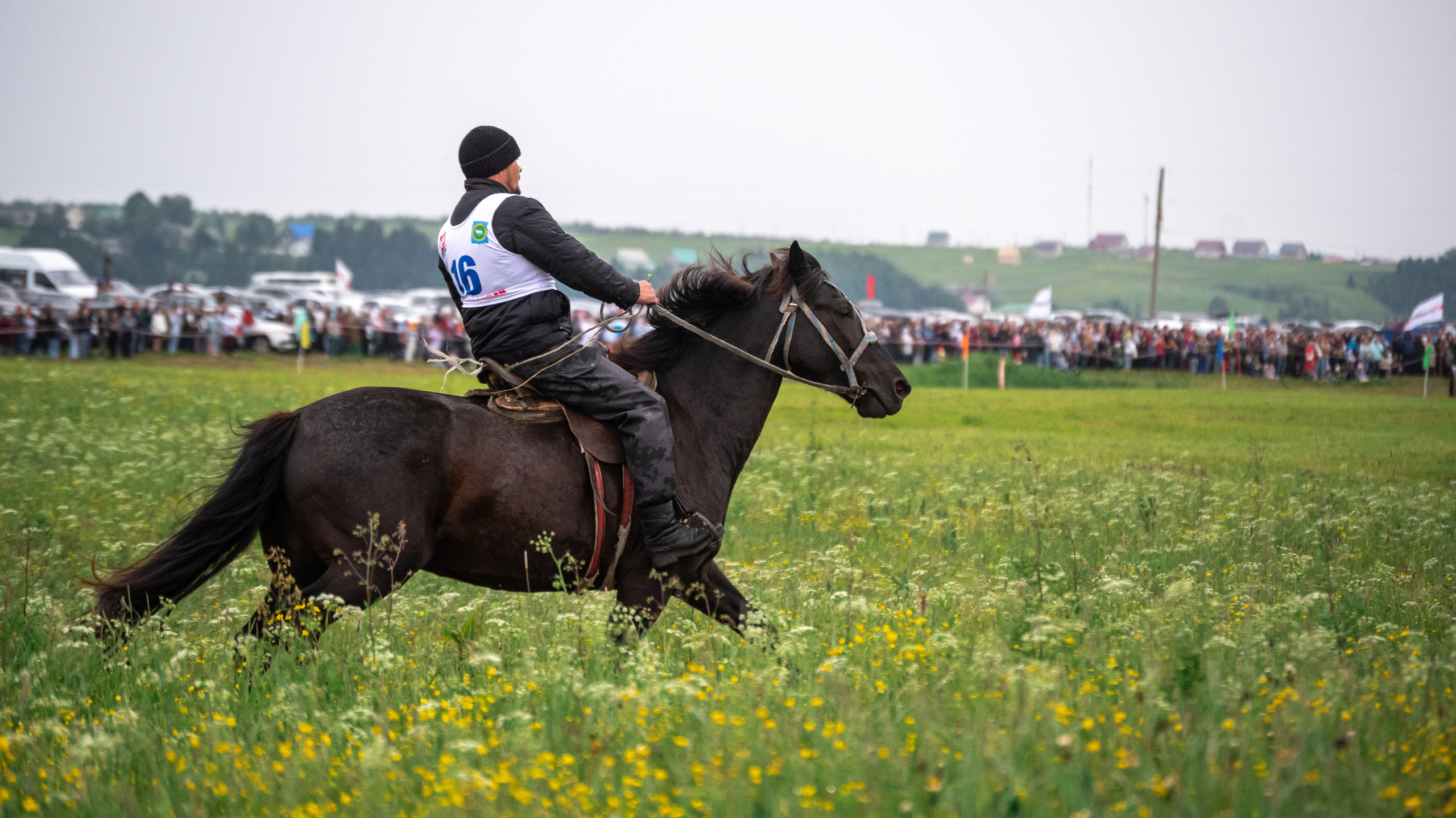Луд 2023. Фотограф в с. Ижма Республика Коми Терентьев Сергей