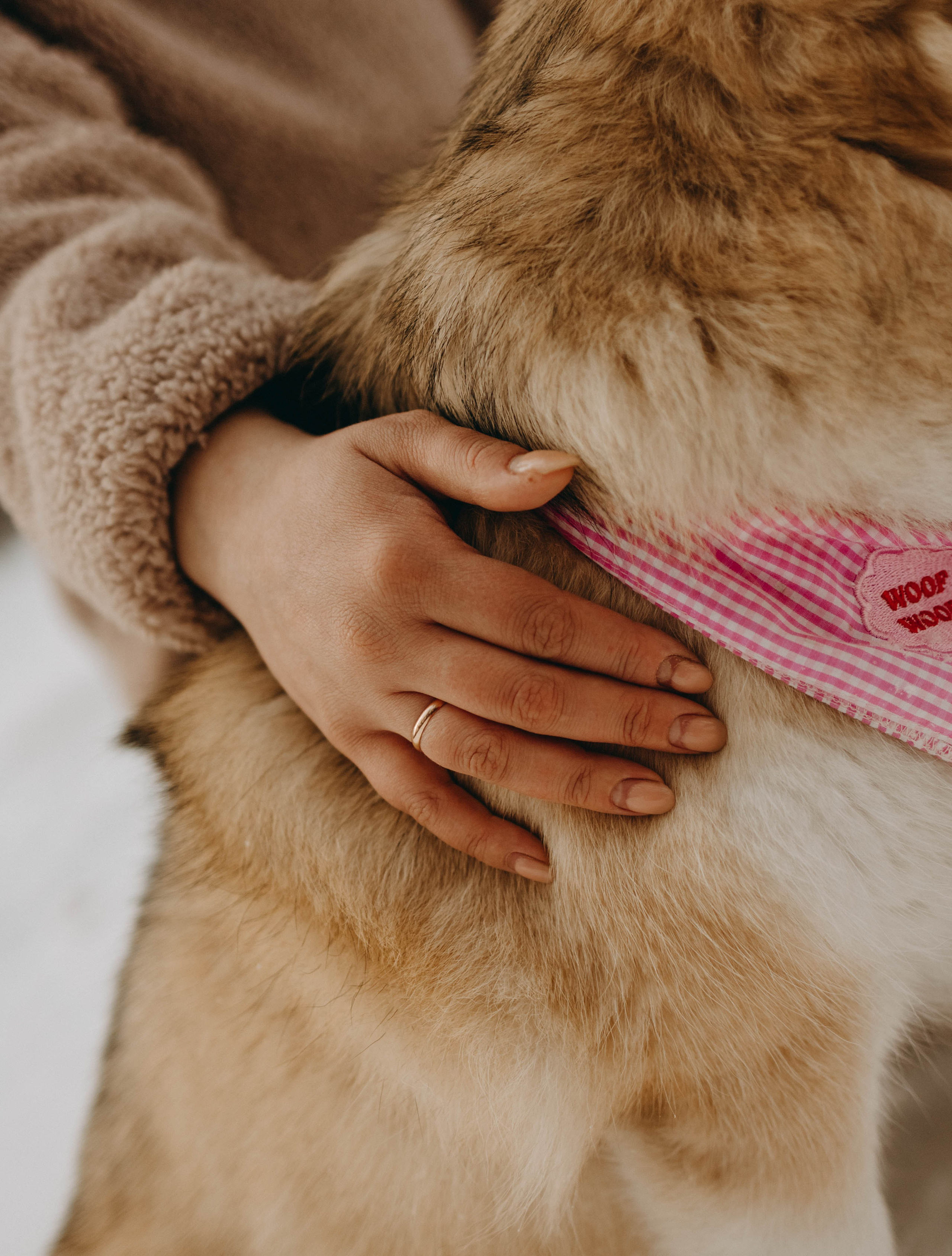 Варвара и Шелби. Фотограф-анималист в Екатеринбурге | Кристина
