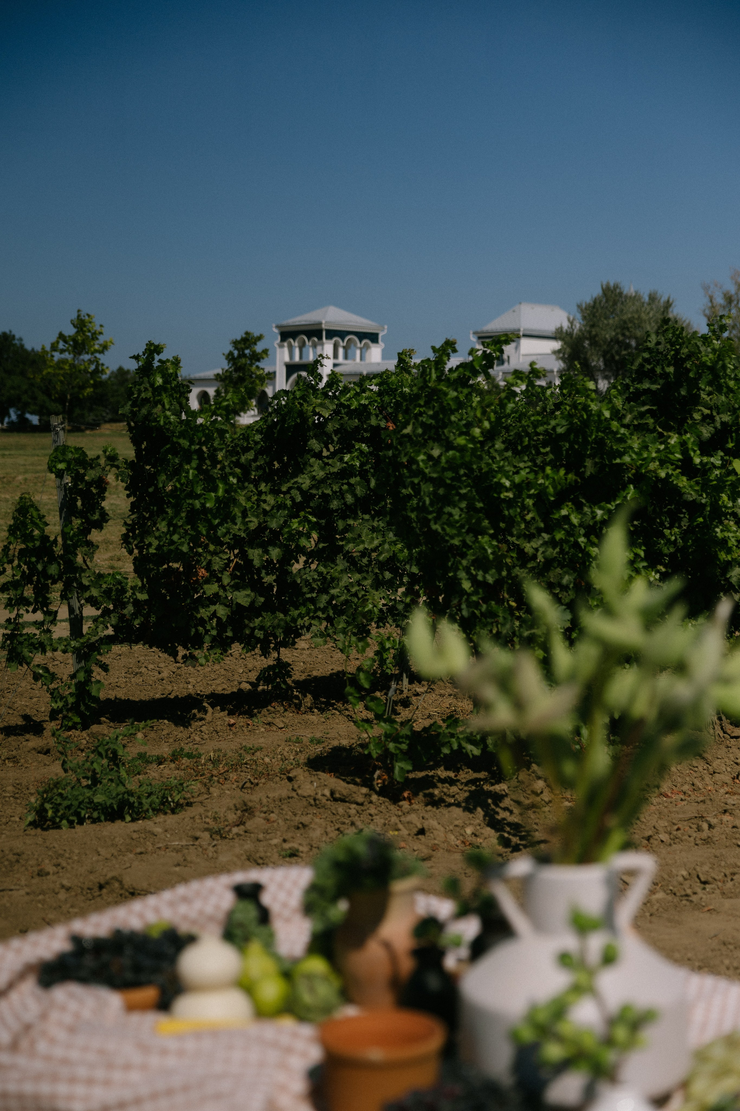 Потанцуй со мной!. Свадебный и репортажный фотограф Новороссийск, Краснодар, Сочи Олеся Дзюба
