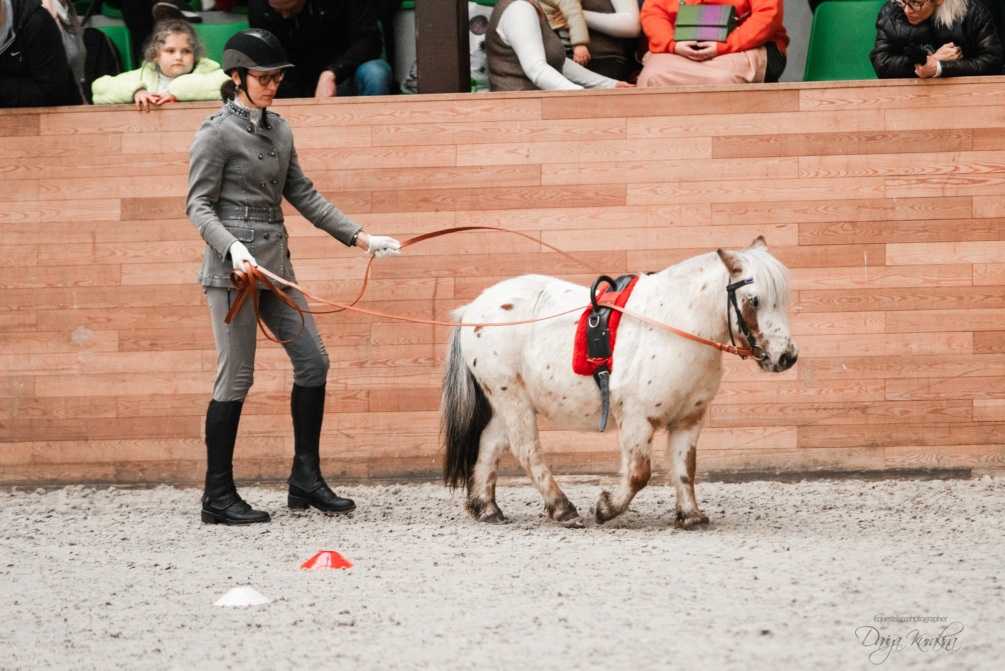 8-я международная выставка Конная Россия. Конный фотограф Куракина Дарья • Фотосессии с лошадьми