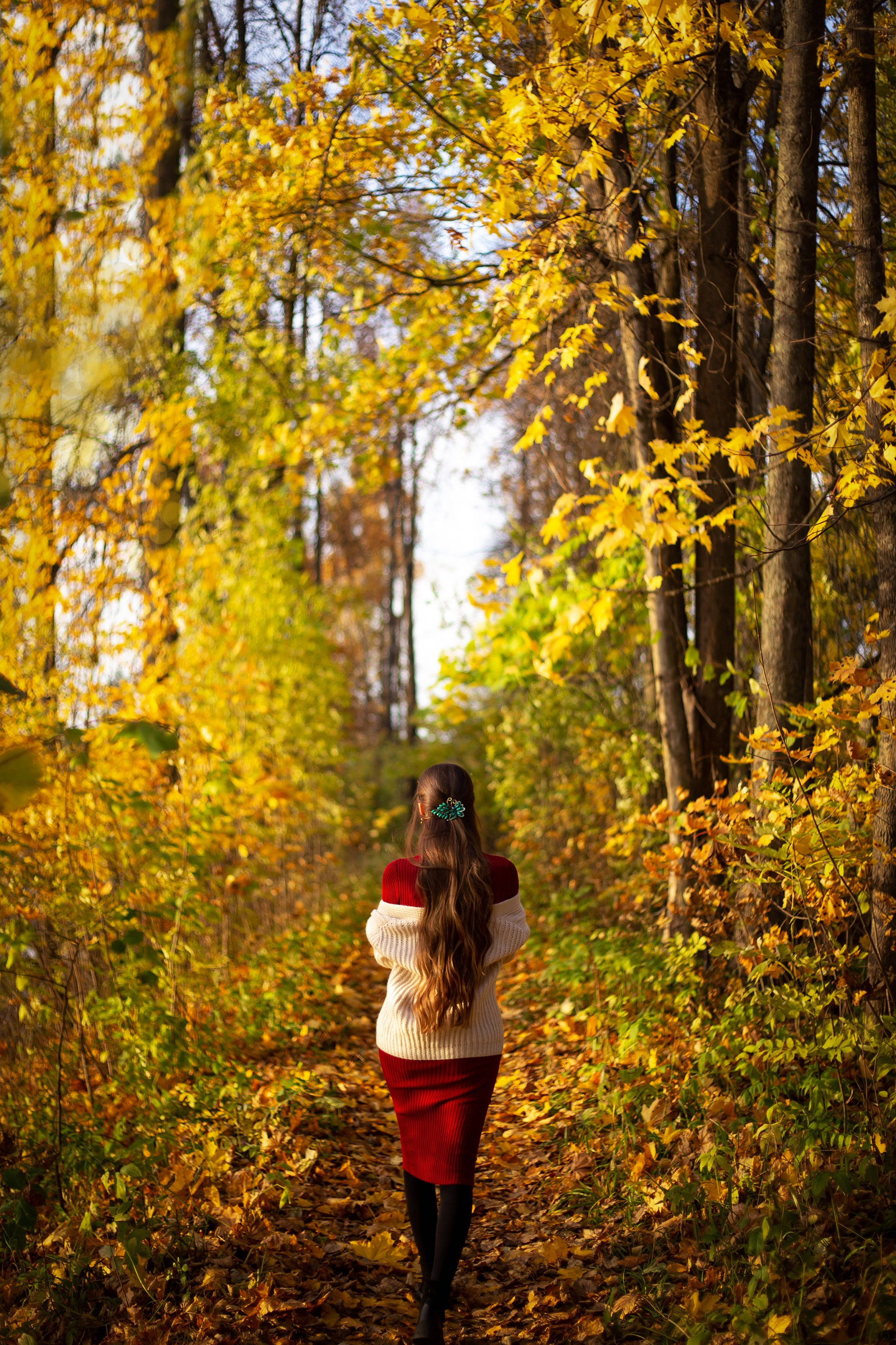Осенняя прогулка в парке. Фотограф Дмитров и МО Валентина Халикова