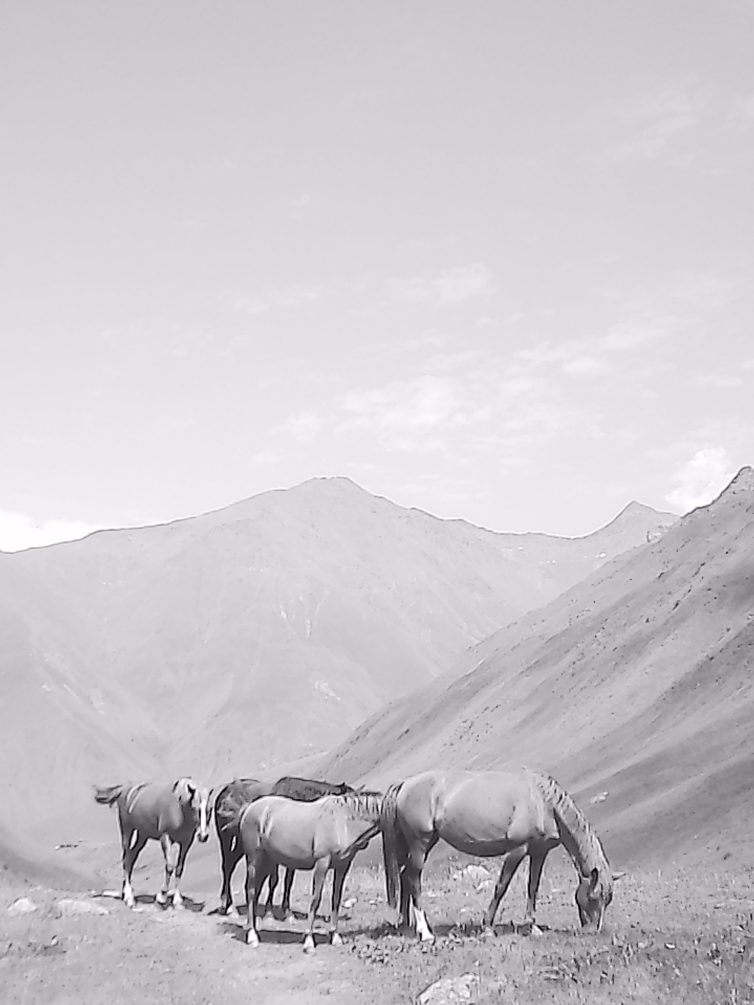 «Крошка 🐣». Anita_photo