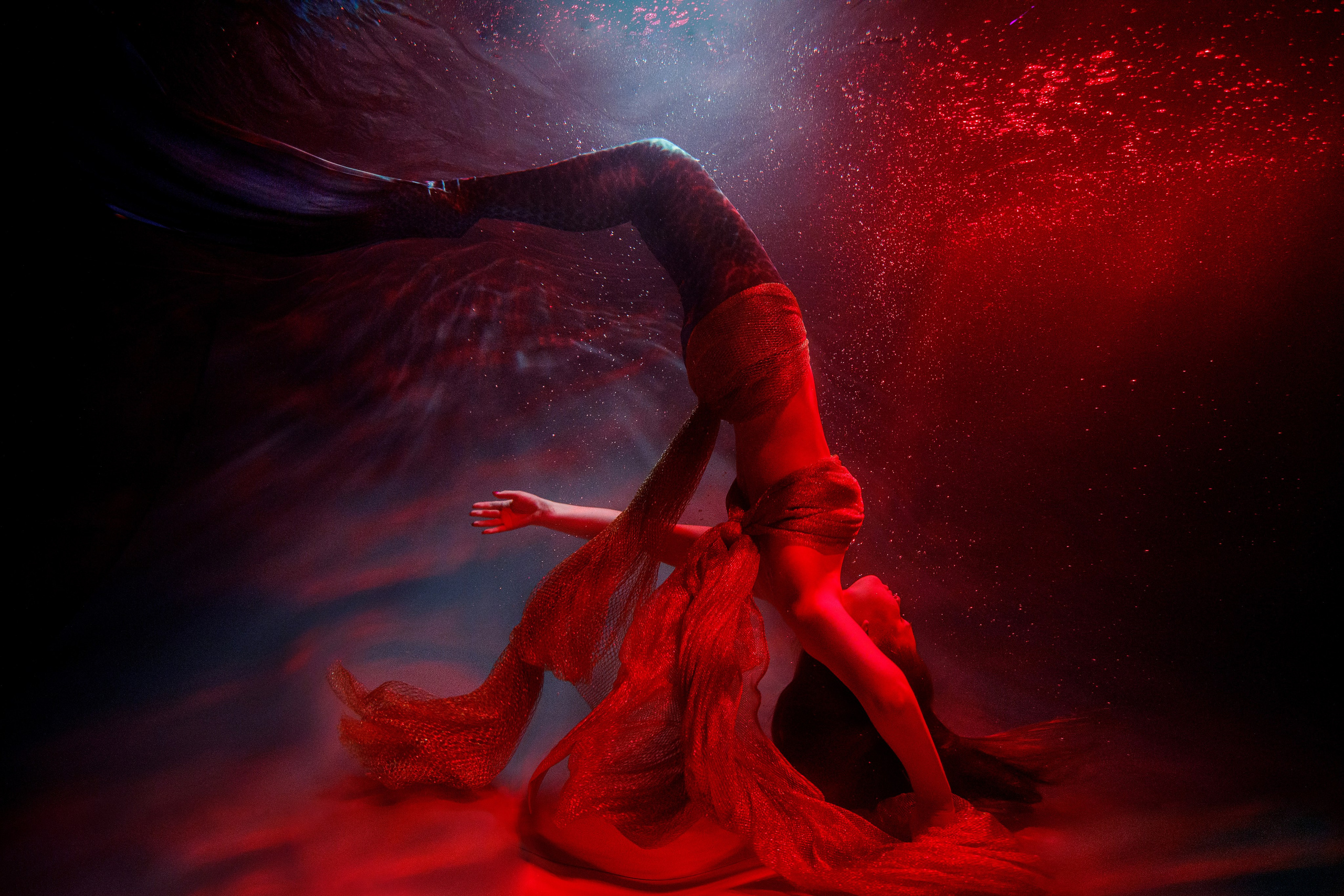 Аква общая. Марковкина КрисТина