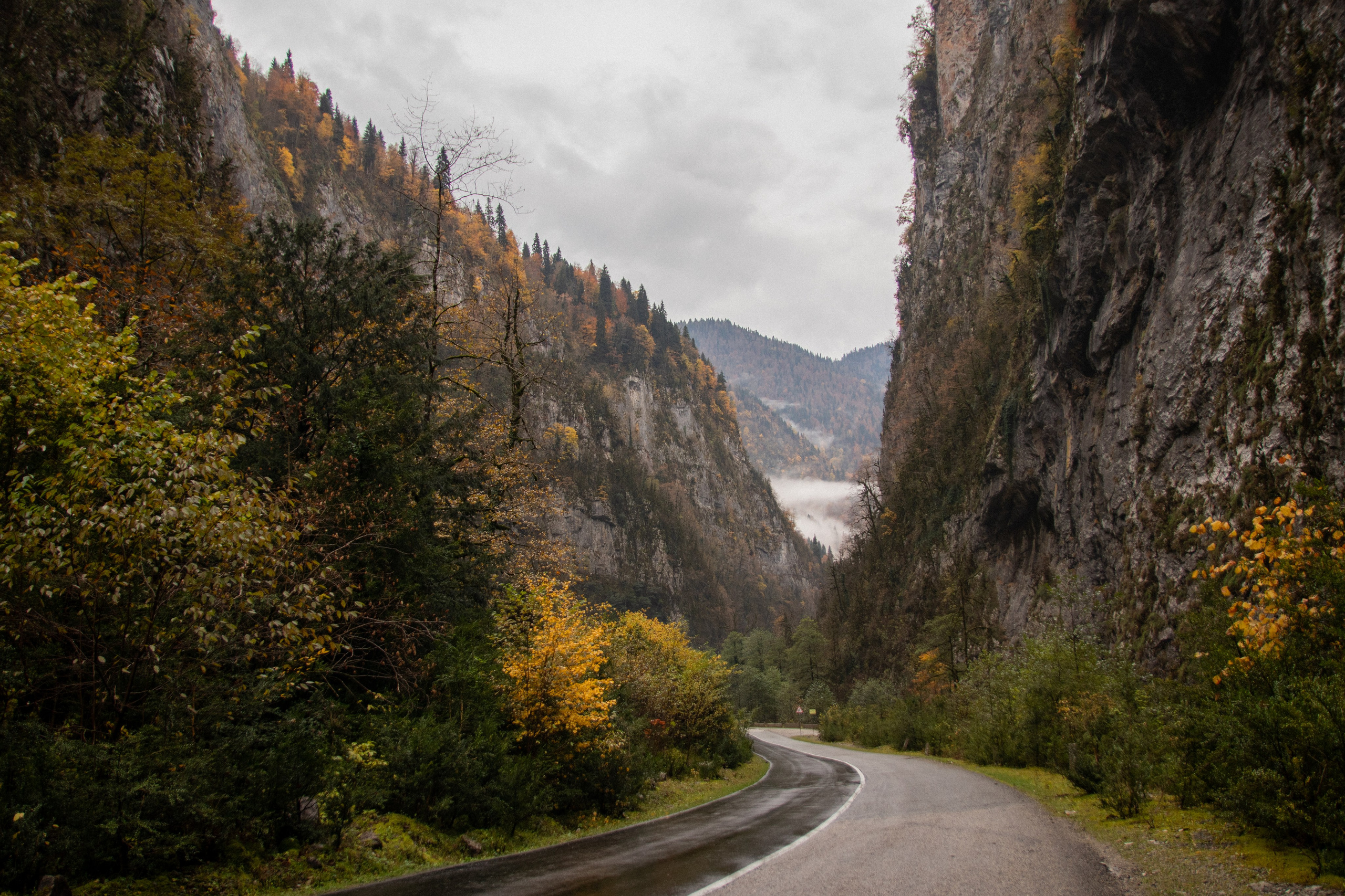 Абхазия. Фотограф Севастополь, Крым. Портретный и репортажный фотограф Коваленко Антонина