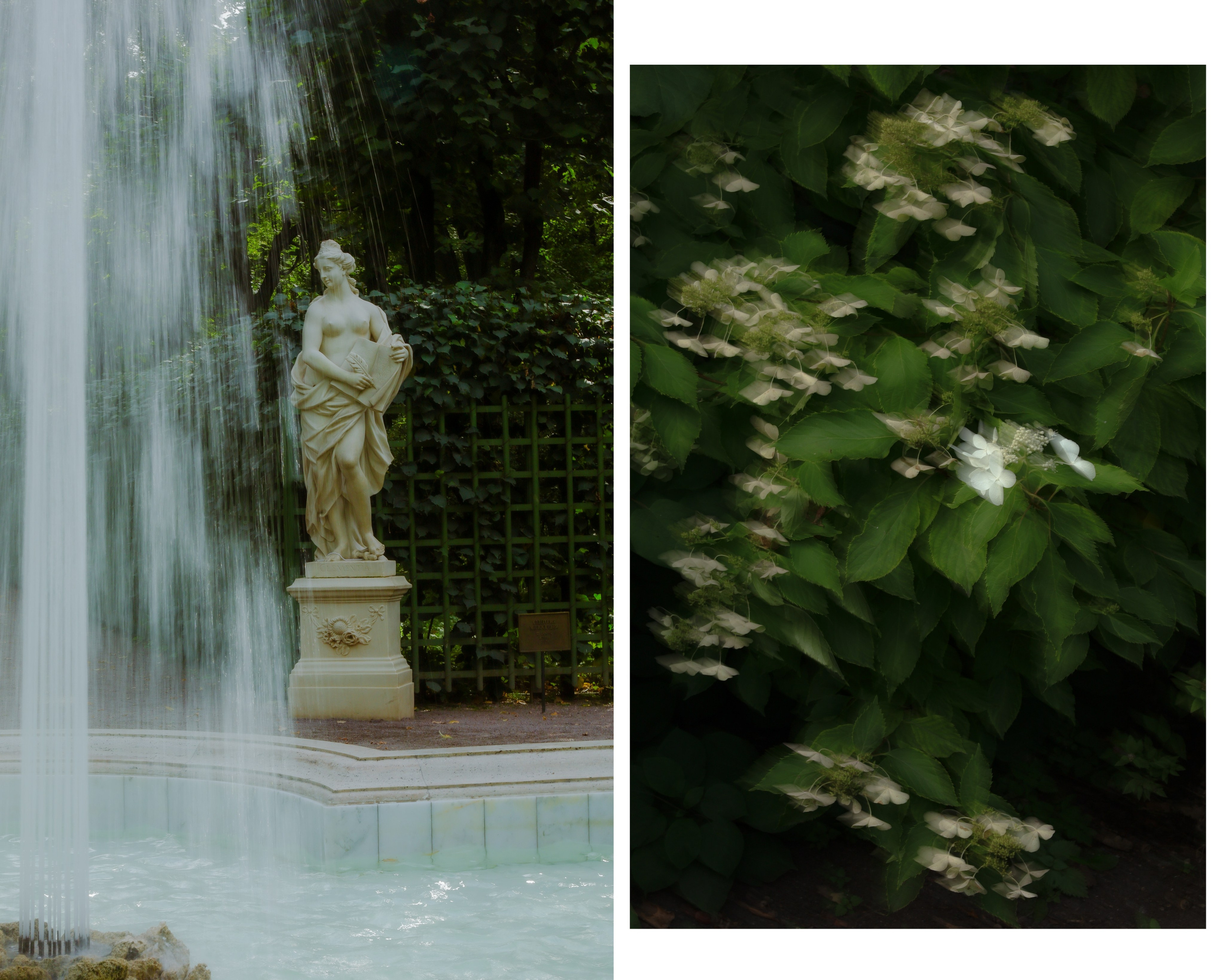 Пространства &. Фотохудожник в СПб