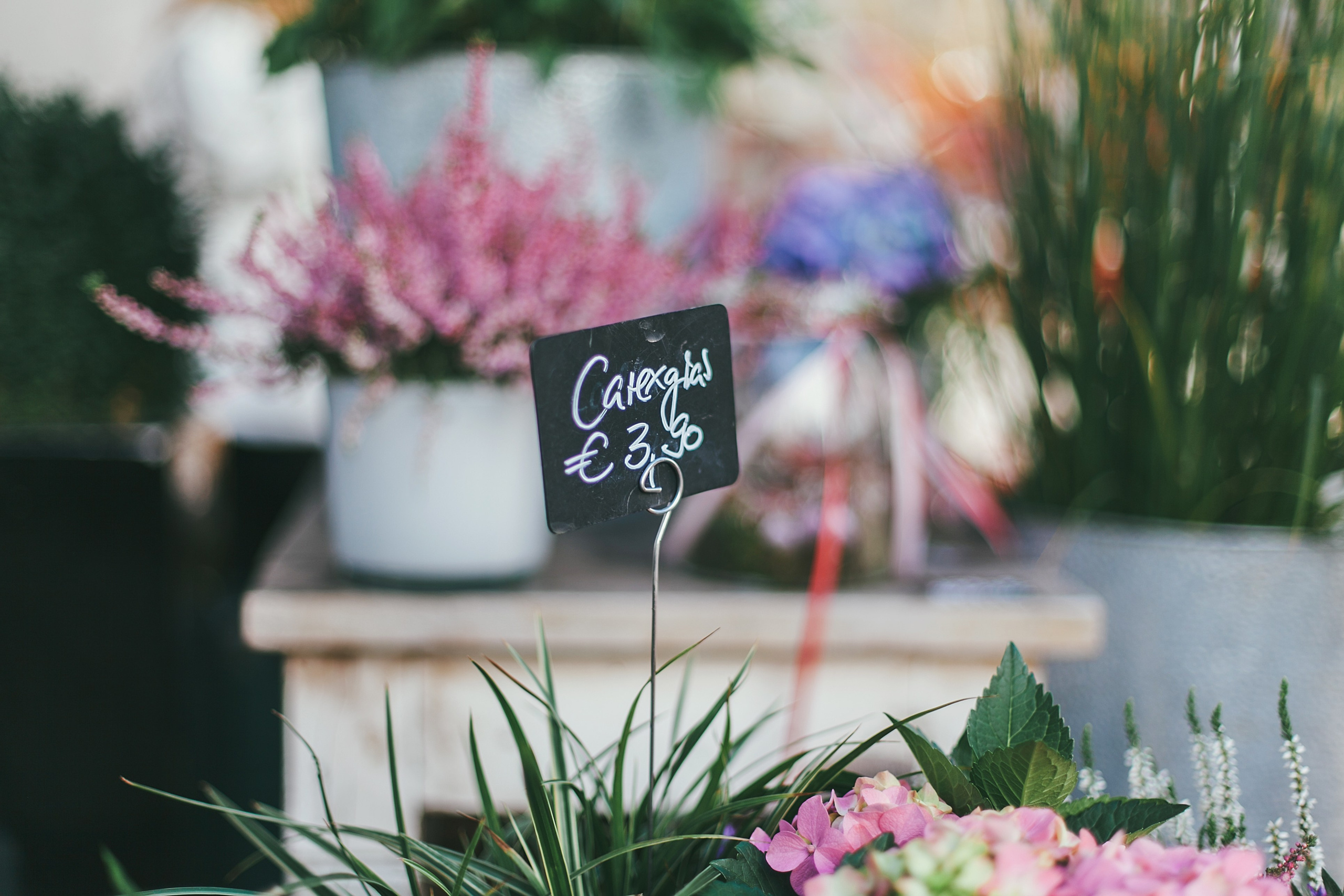 Берлин. Аня Степанова