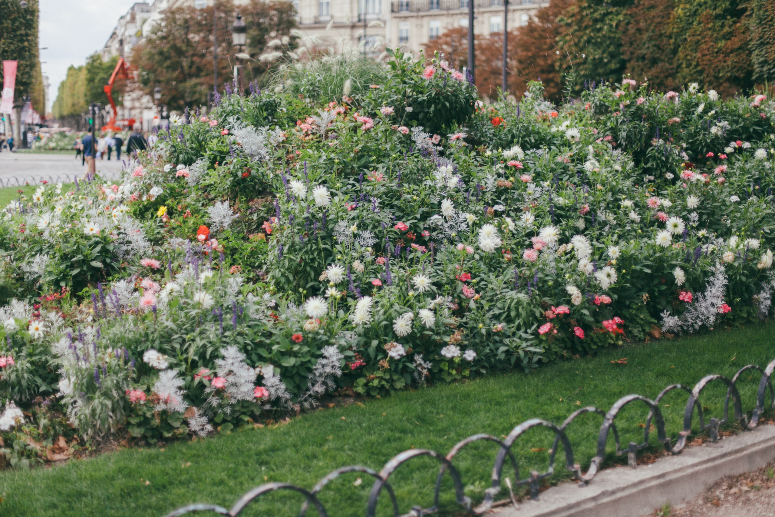 Париж. Аня Степанова