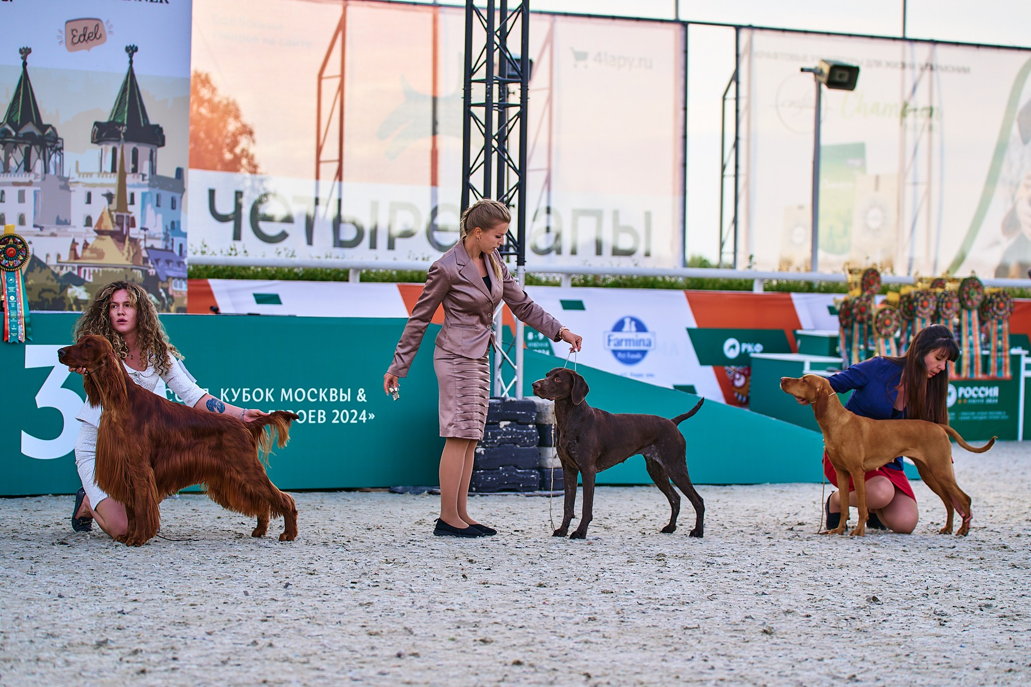 08.06.2024 «РОССИЯ. КУБОК РКФ 2024»