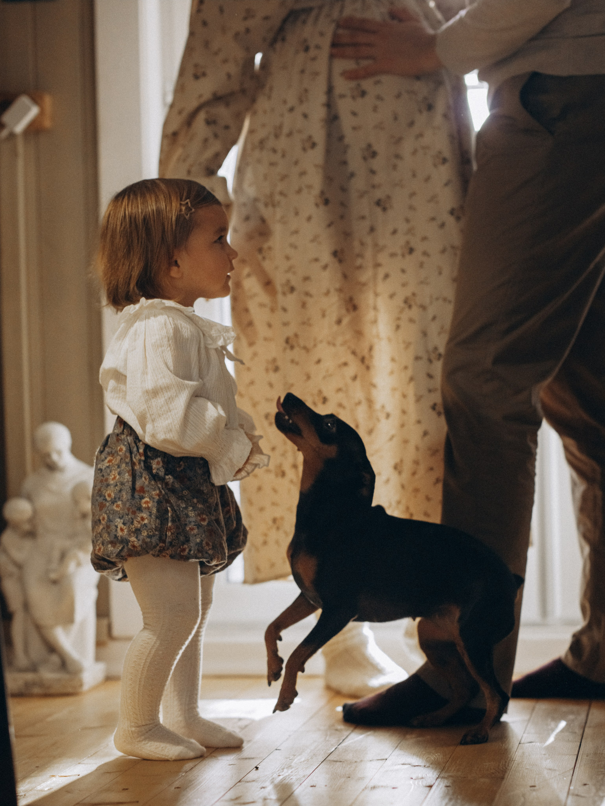 Теплая осень. Фотограф-анималист в Москве Кириллова Татьяна