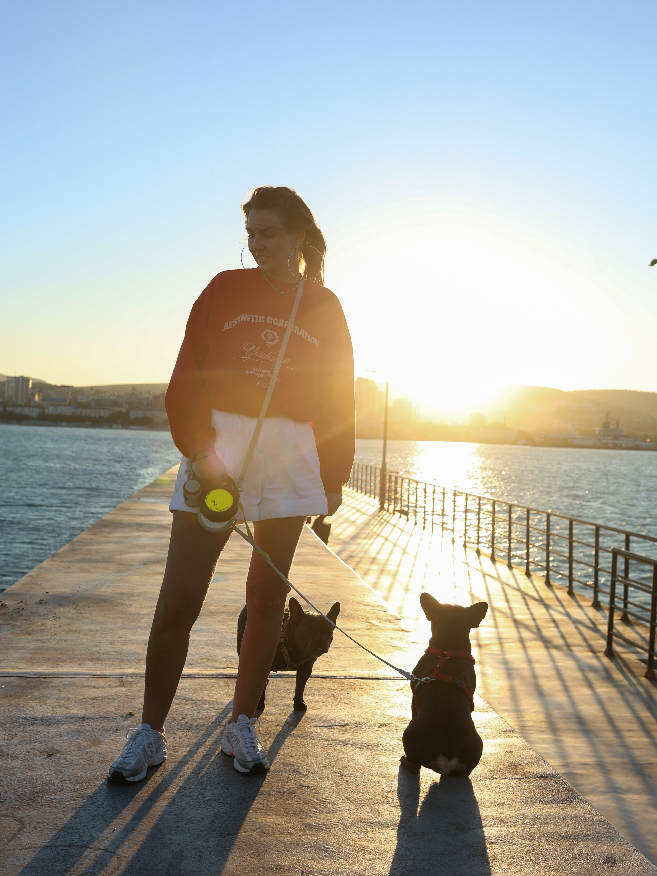 Белла, Луна и Нелли. Фотограф-анималист в Москве Кириллова Татьяна