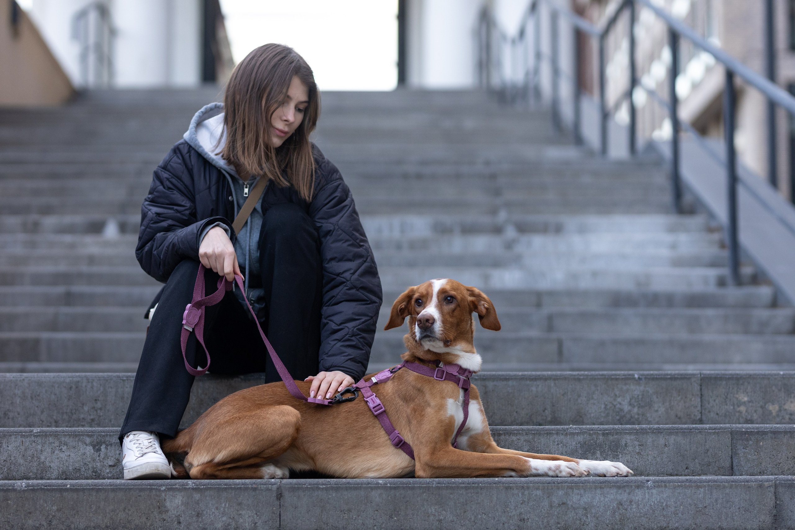 Съемка для бренда ZeeDog. Фотограф-анималист в Москве Кириллова Татьяна
