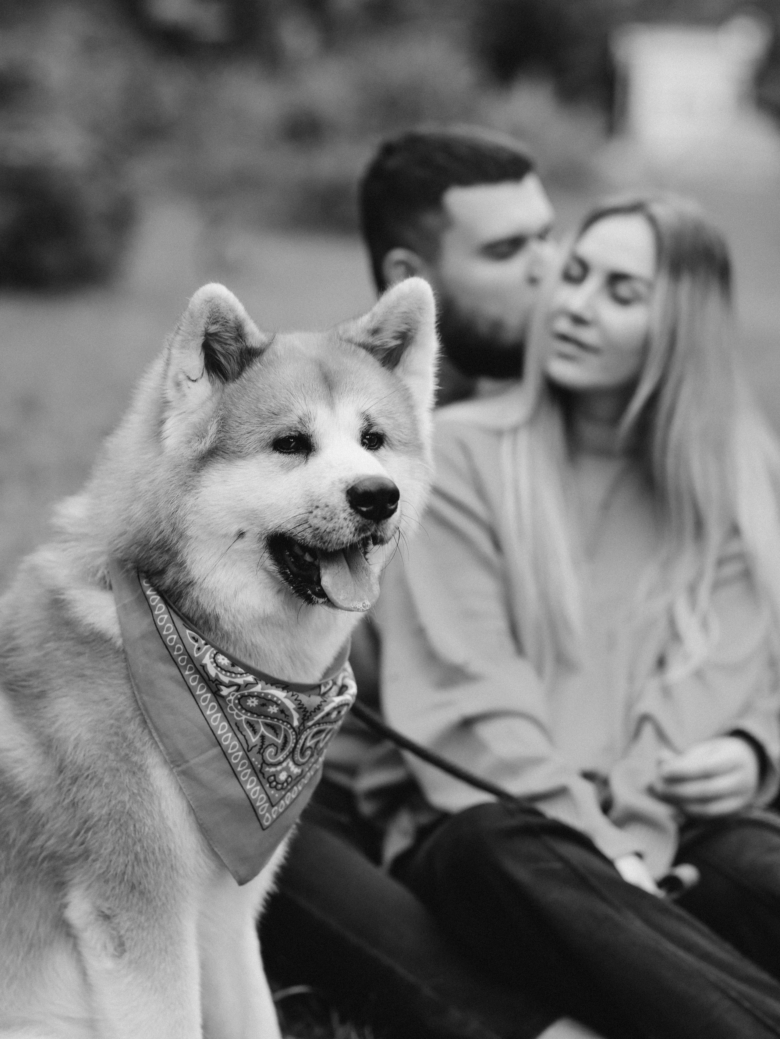 Гранд, Вика и Степан. Фотограф-анималист в Москве Кириллова Татьяна
