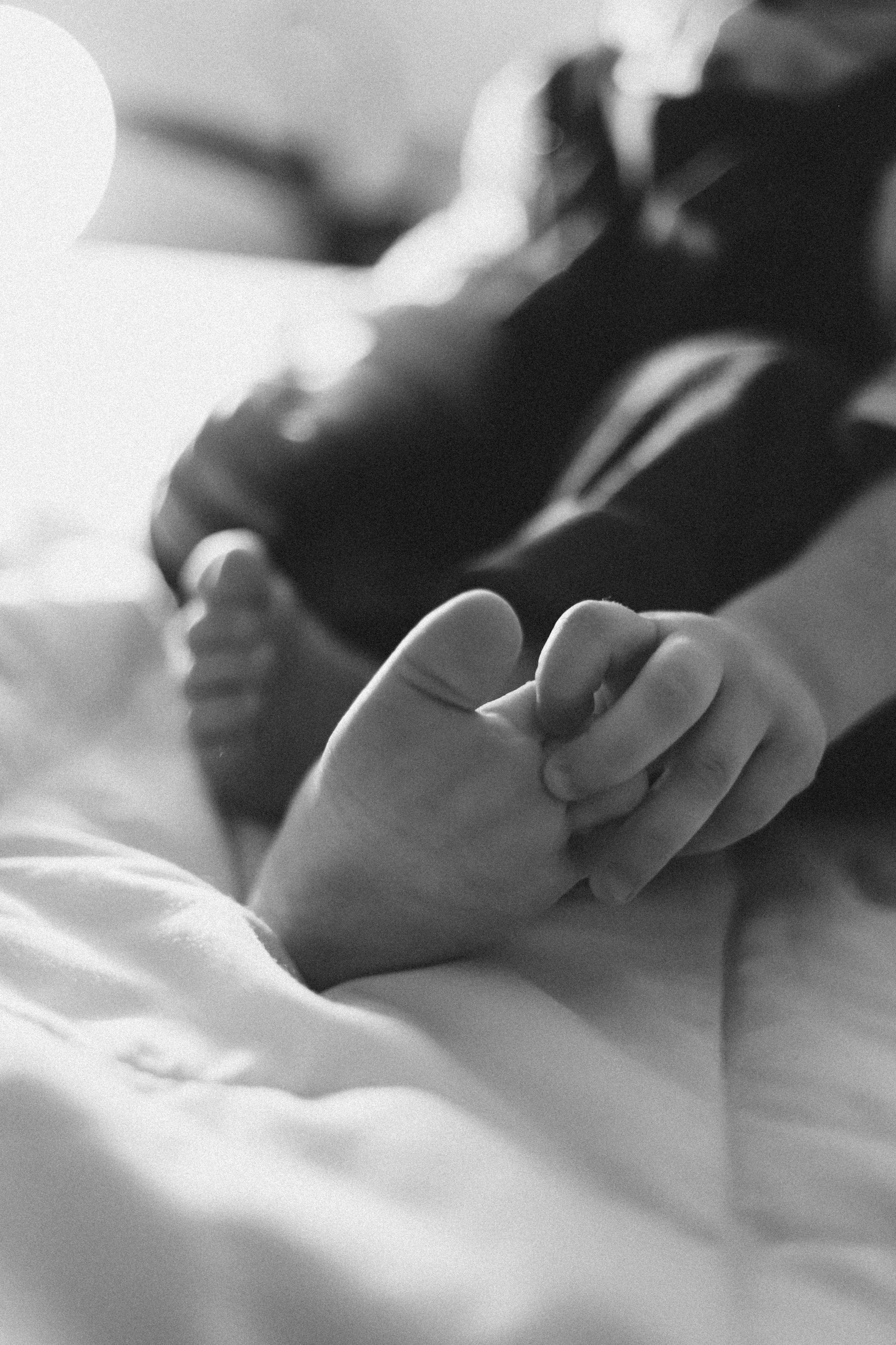 Домашняя новогодняя история. Алексей+Ксения+Дима. Услуги