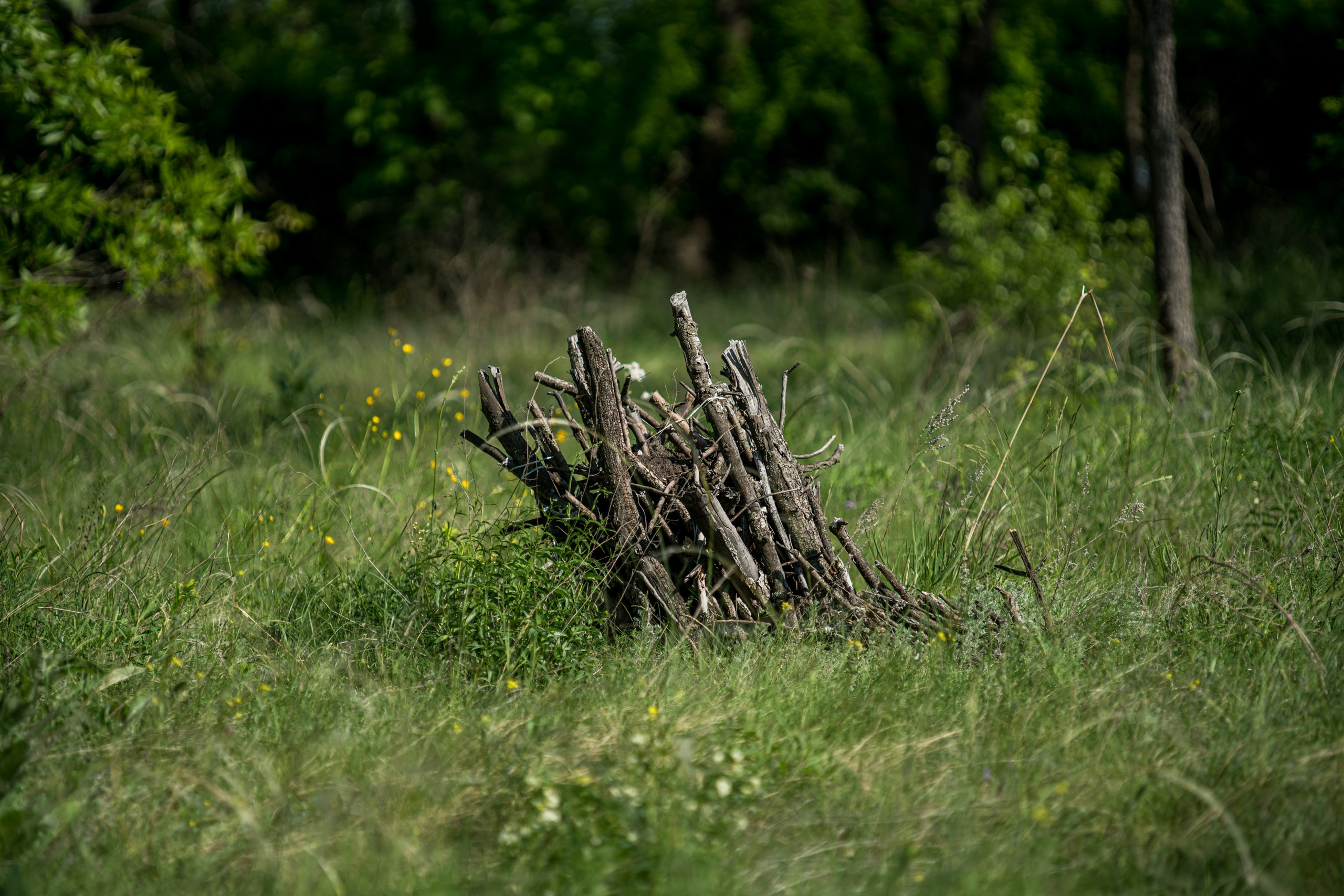 Белогорье, Воронежская область 2017. Фотограф Василий Буланов
