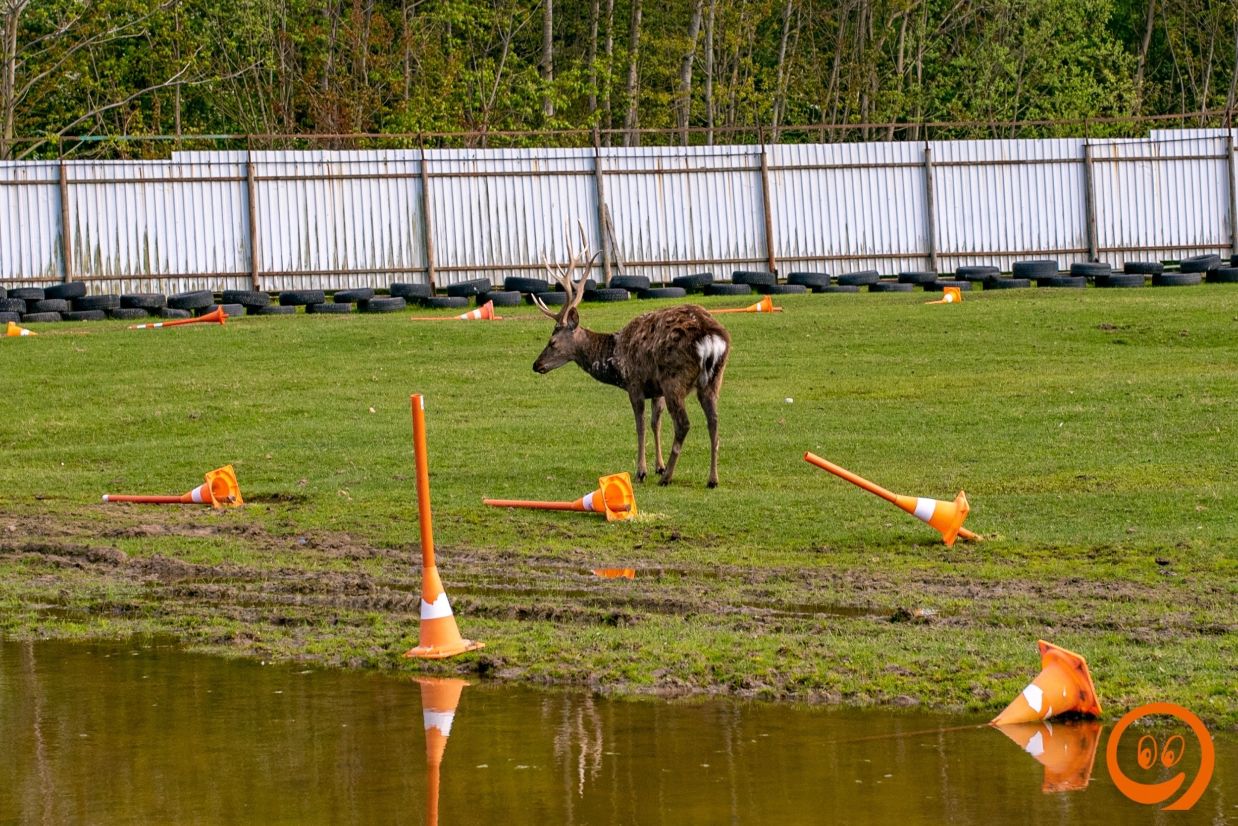Шашлыки | 08.05.2025. Галерея Фантим