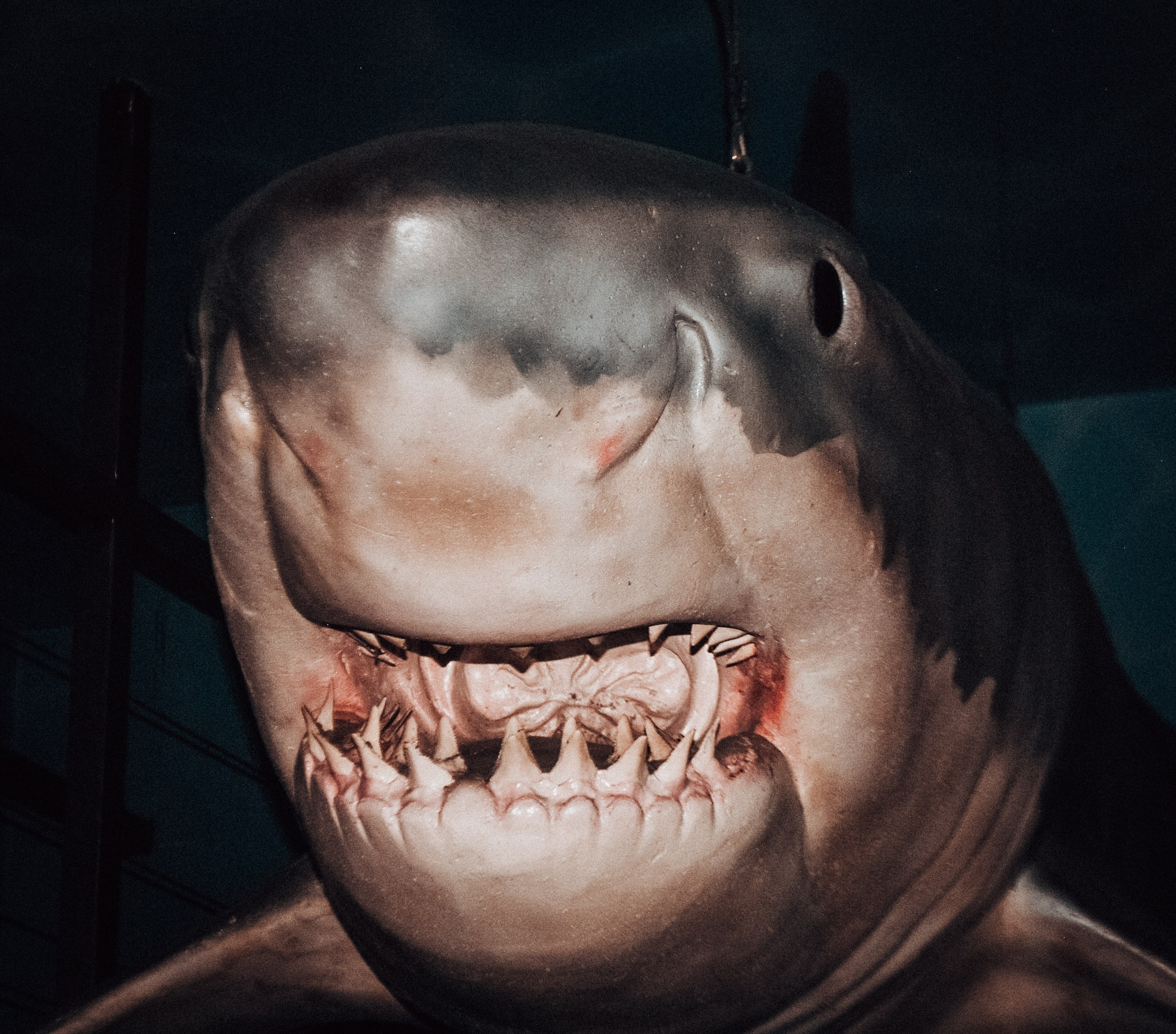 Аквапарк. Портретный фотограф DanilNabody