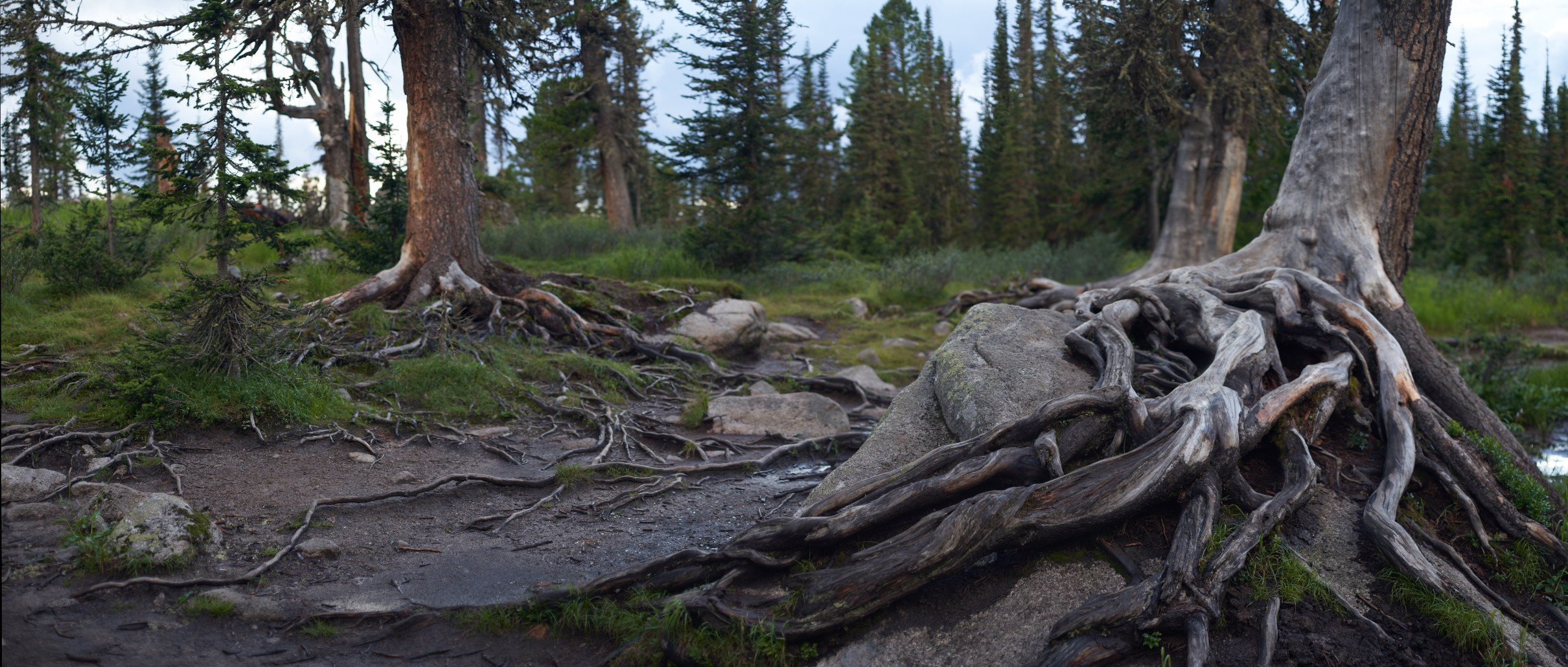 Панорамы. Василий Буйлов|Vasilii Builov