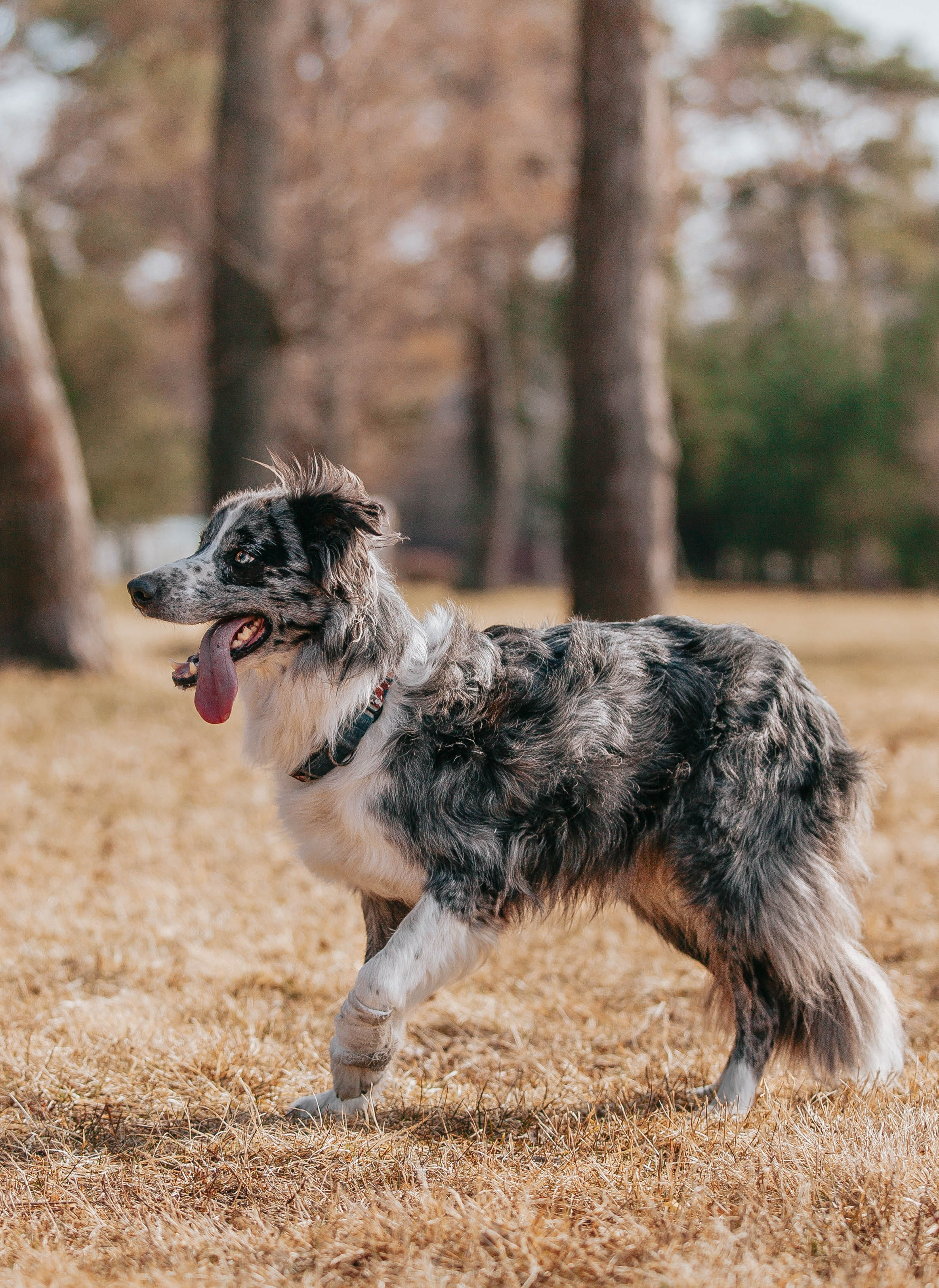 Бордюха, Лора, Берта, Мета. Главная