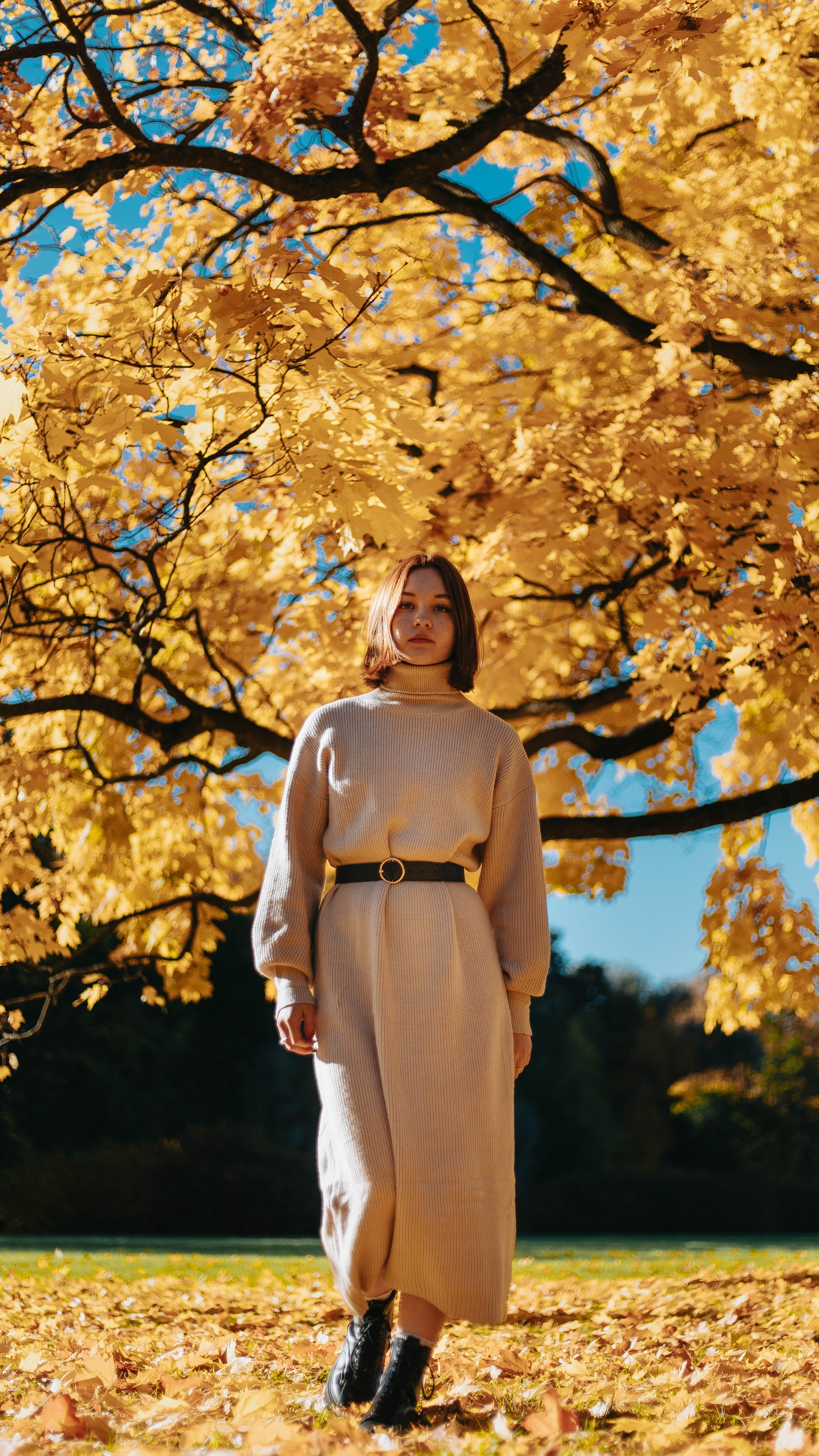 Света. Главная