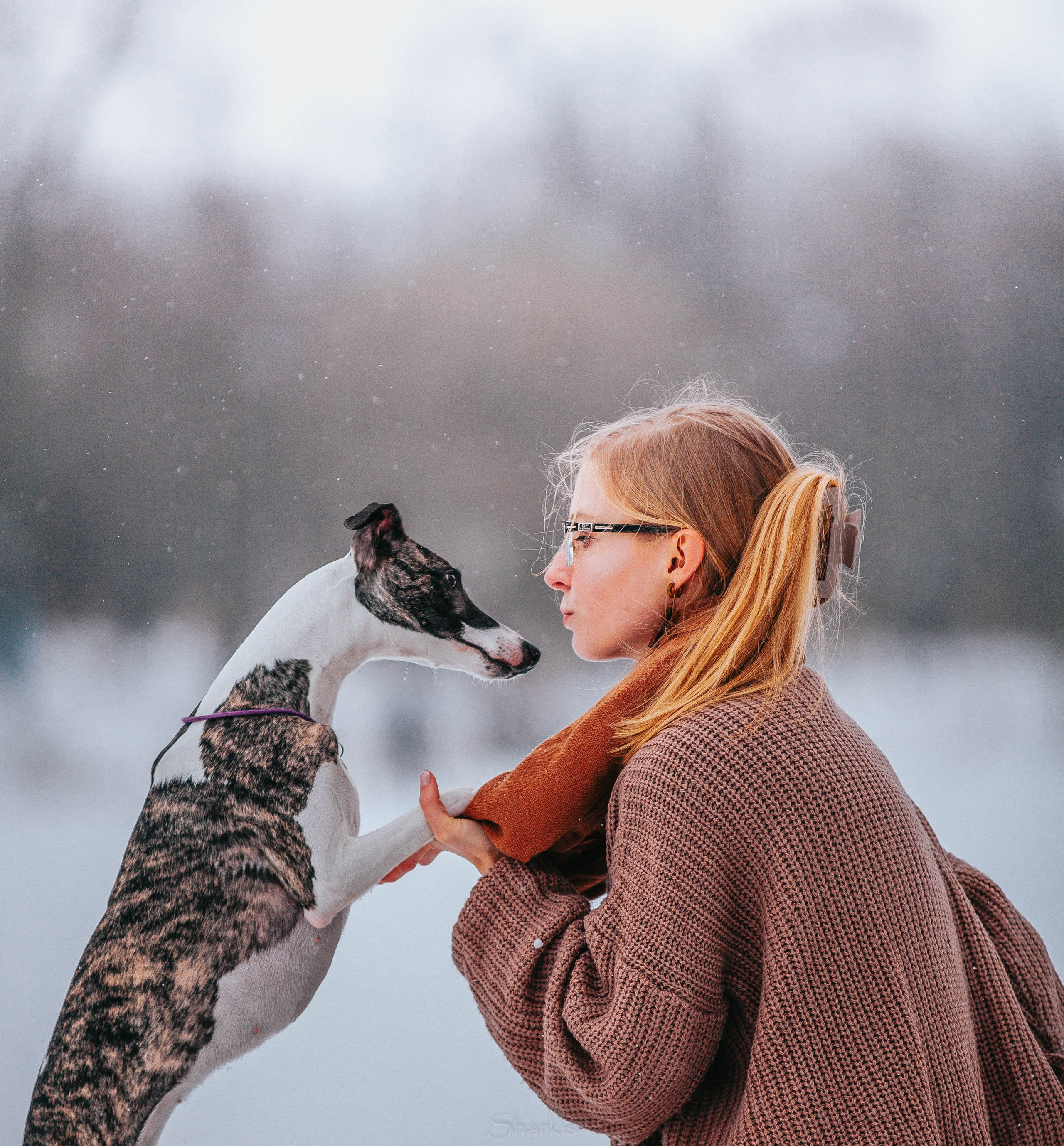 Хельга и Пёс. Главная