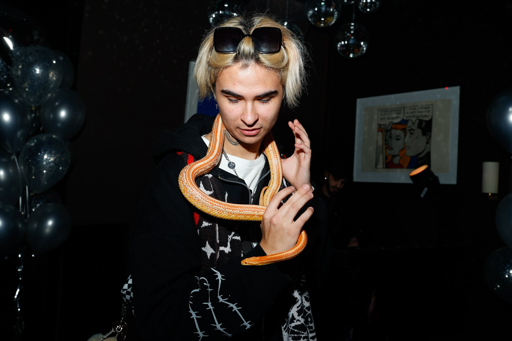 ДИАНА АСТЕР. Nikolskayasecular