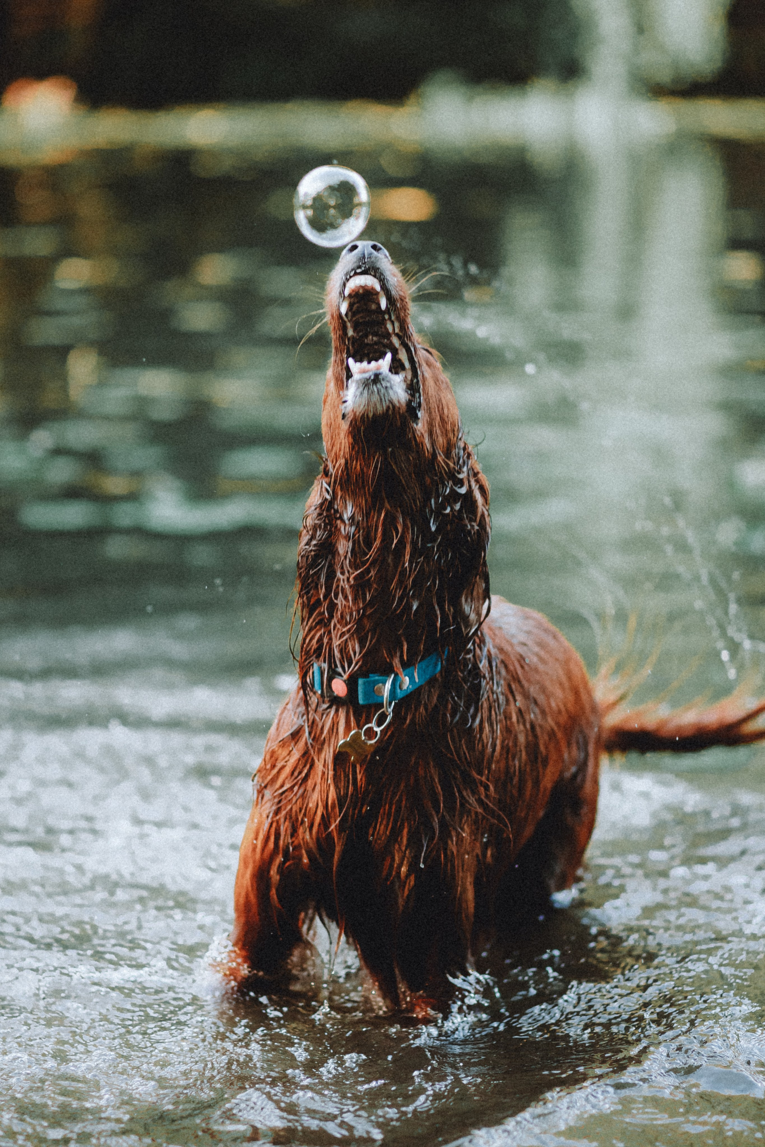 Маша и Джерри