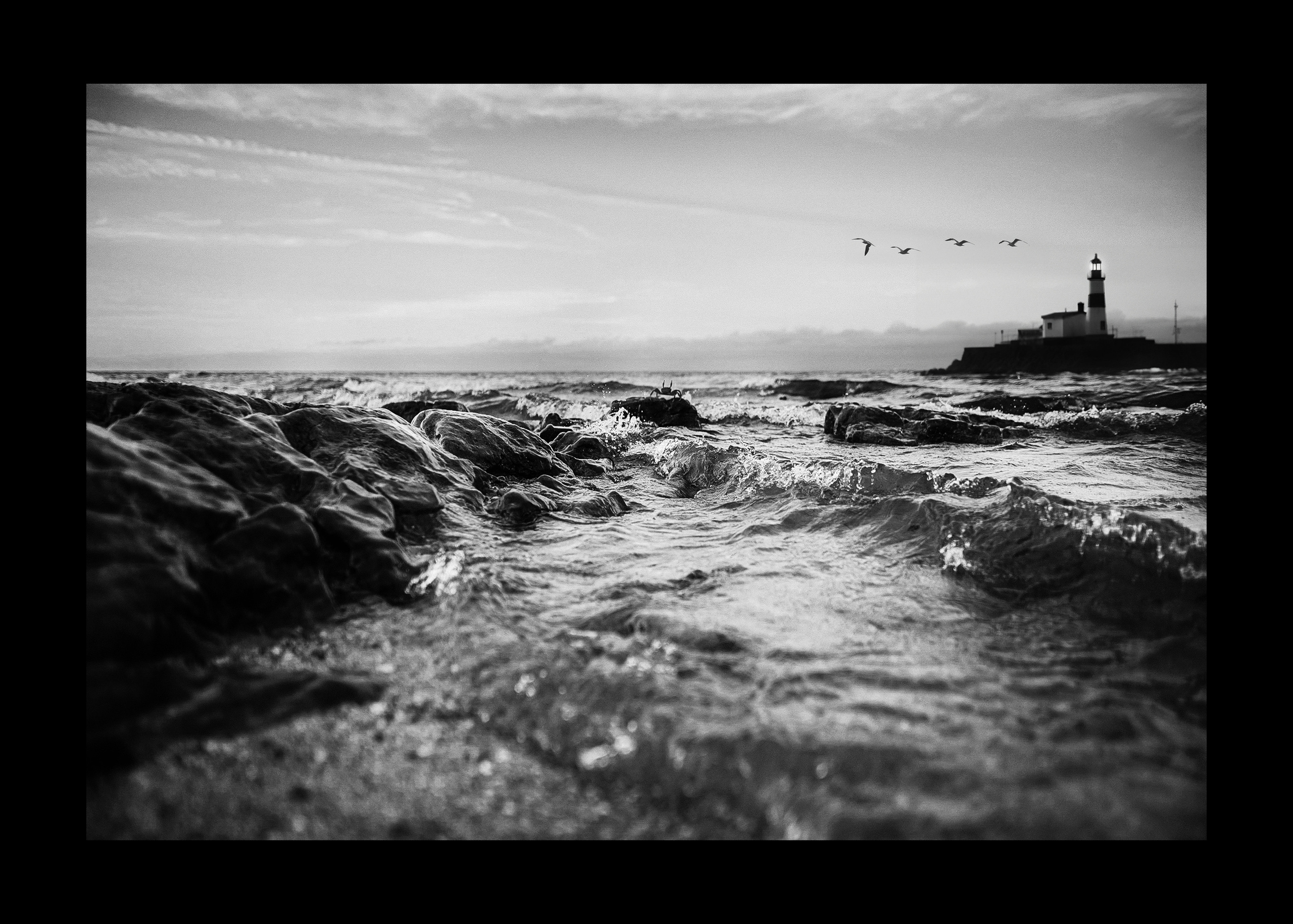 Коллажи. Меня зовут Стас Барыкин, я фотограф. Живу и работаю в Ростове-на-Дону